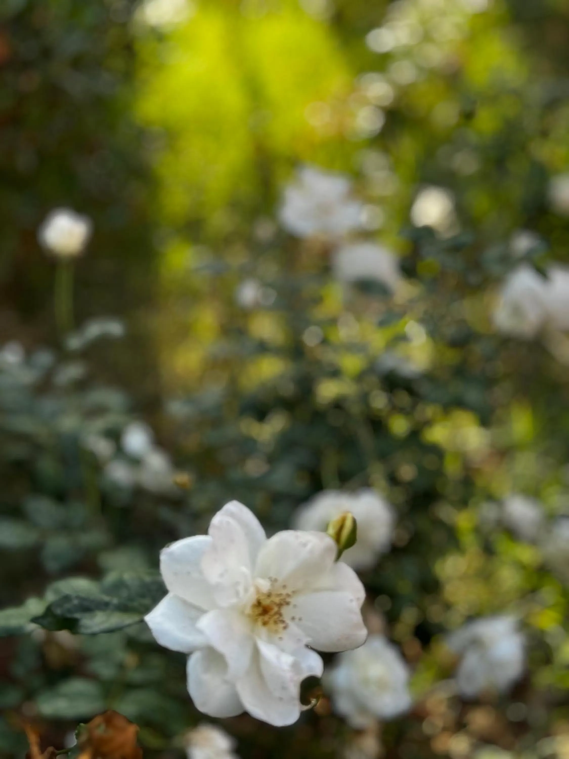 Day in Whisper Hotel