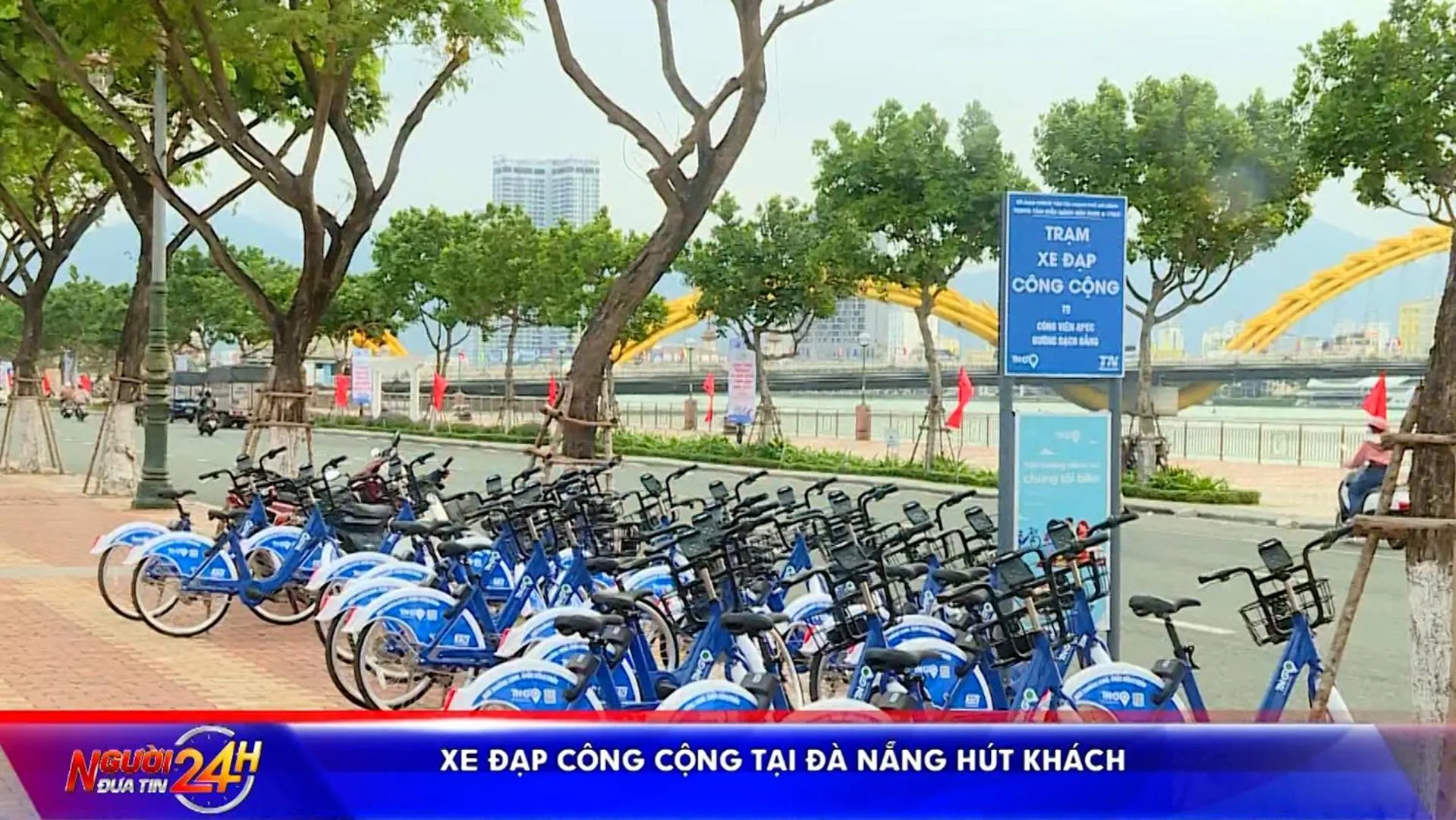 Day in Golden Sun Apartment by New Sky Travel