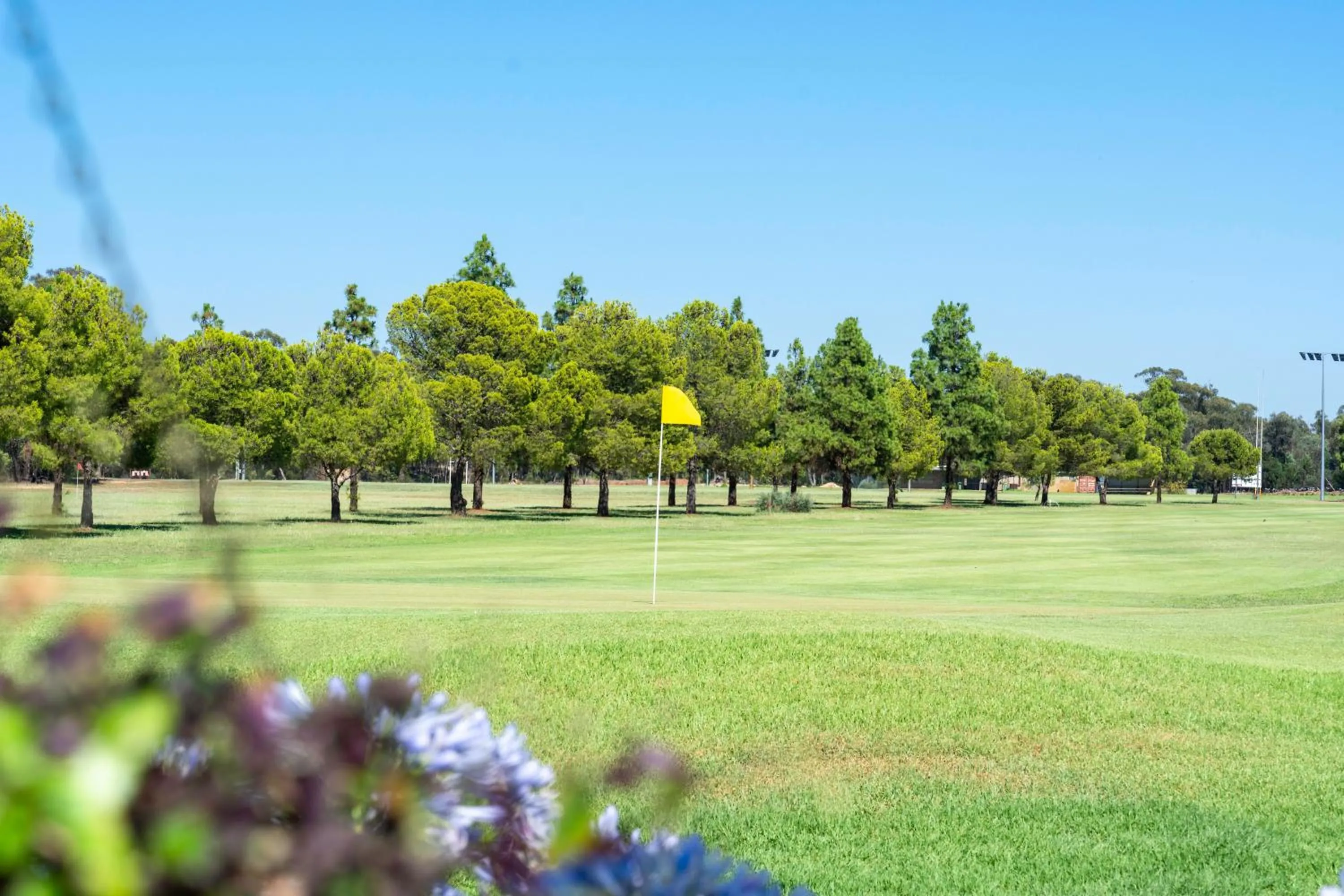 Natural landscape in Club Inn Motel