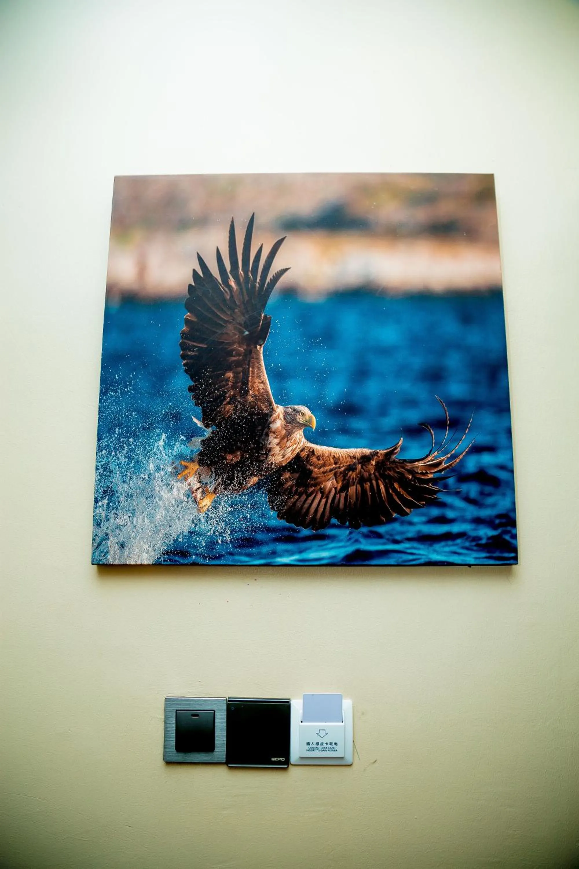 Decorative detail in ANINY HOTEL