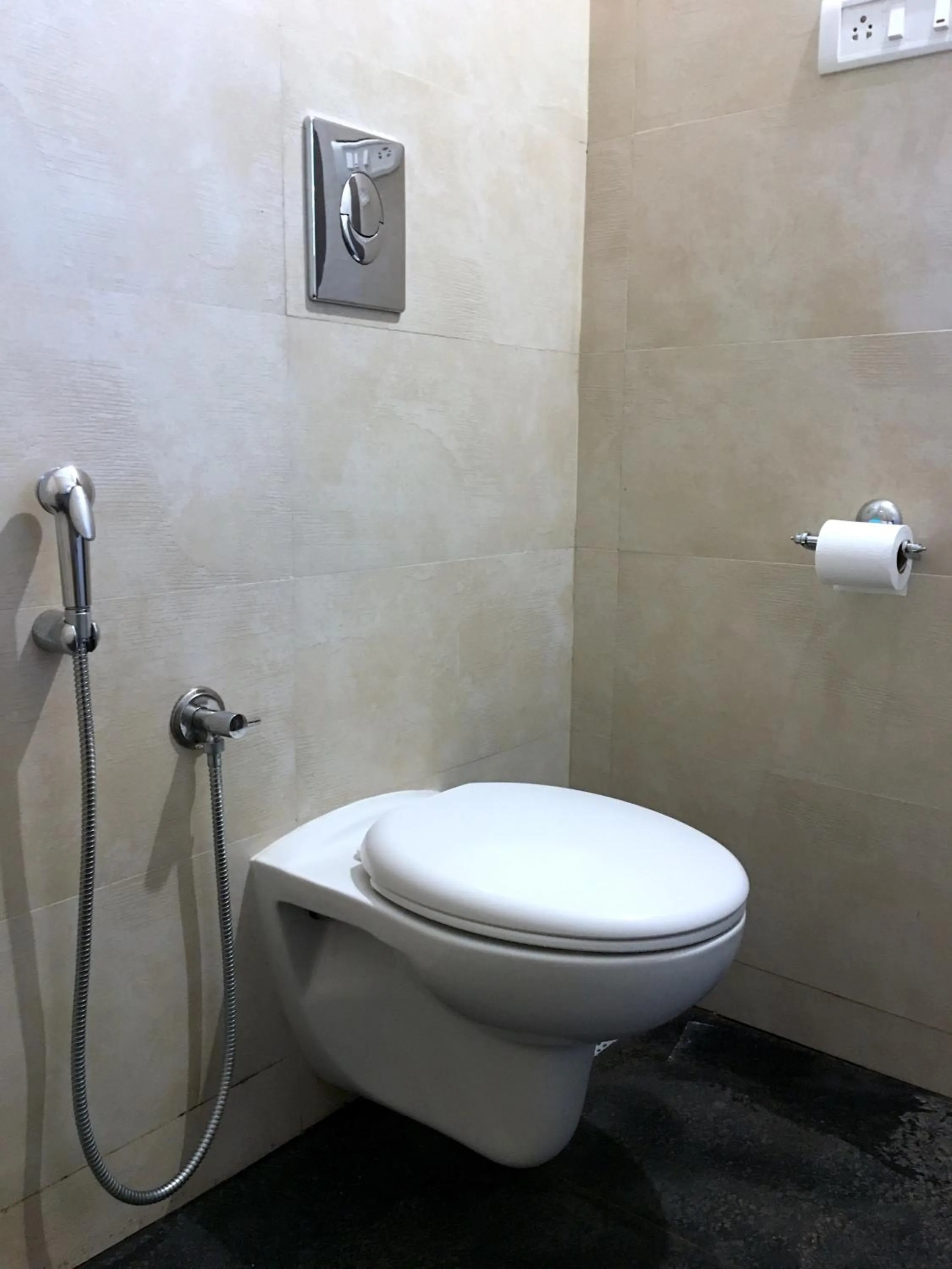 Toilet in Crystall Goa Palolem