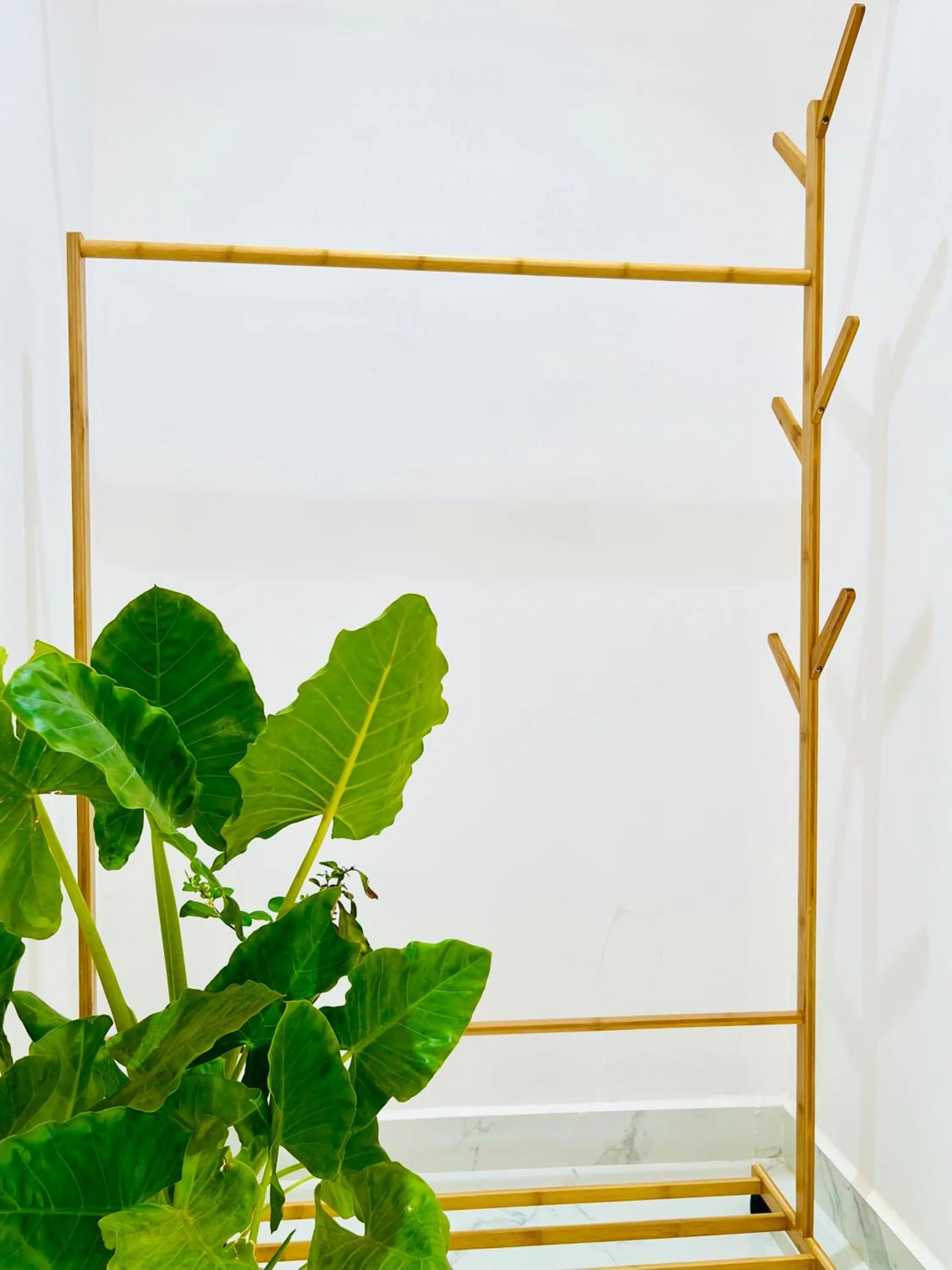 wardrobe in Crystall Goa Palolem