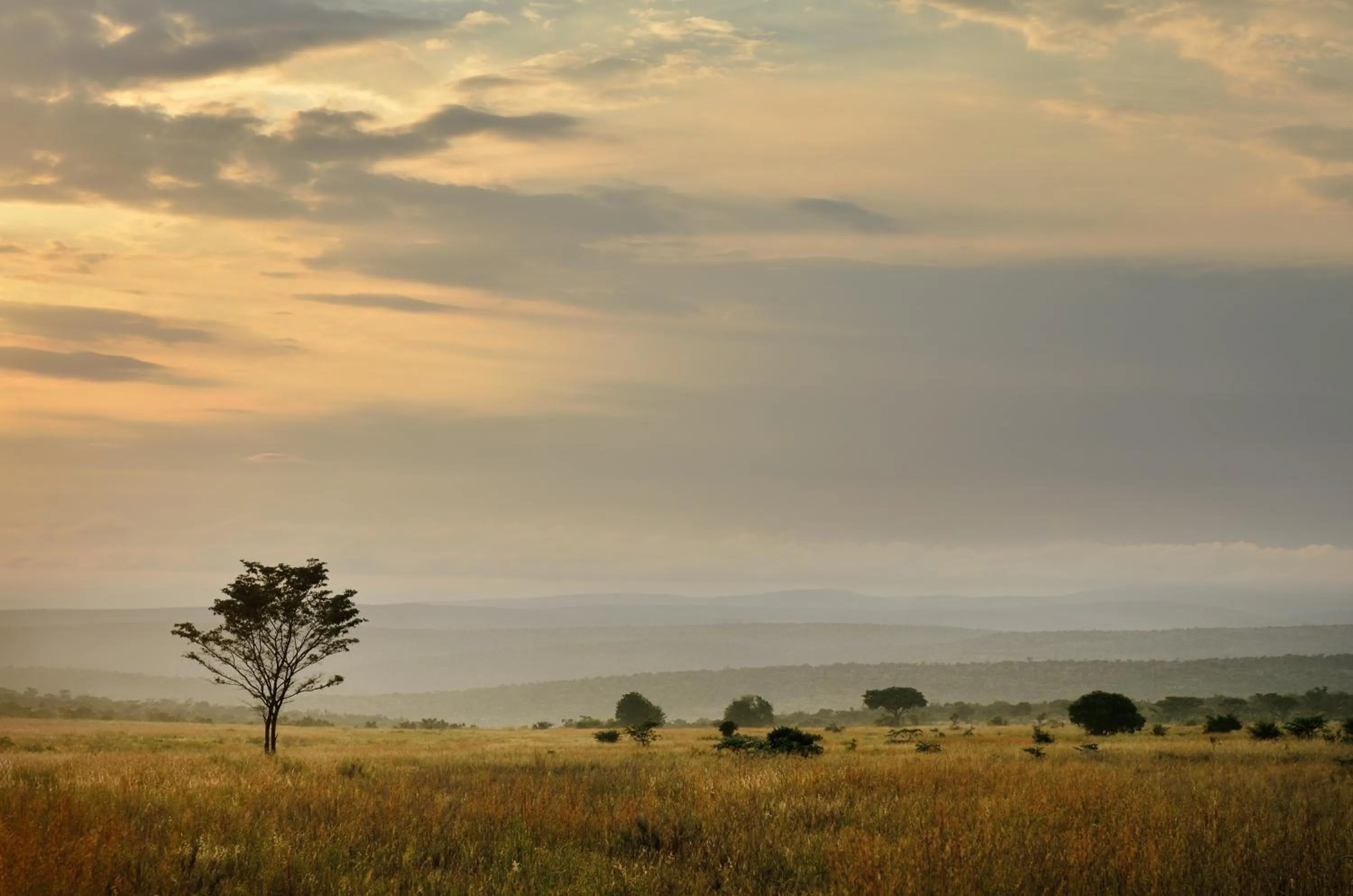 Natural landscape in Makweti Safari Lodge