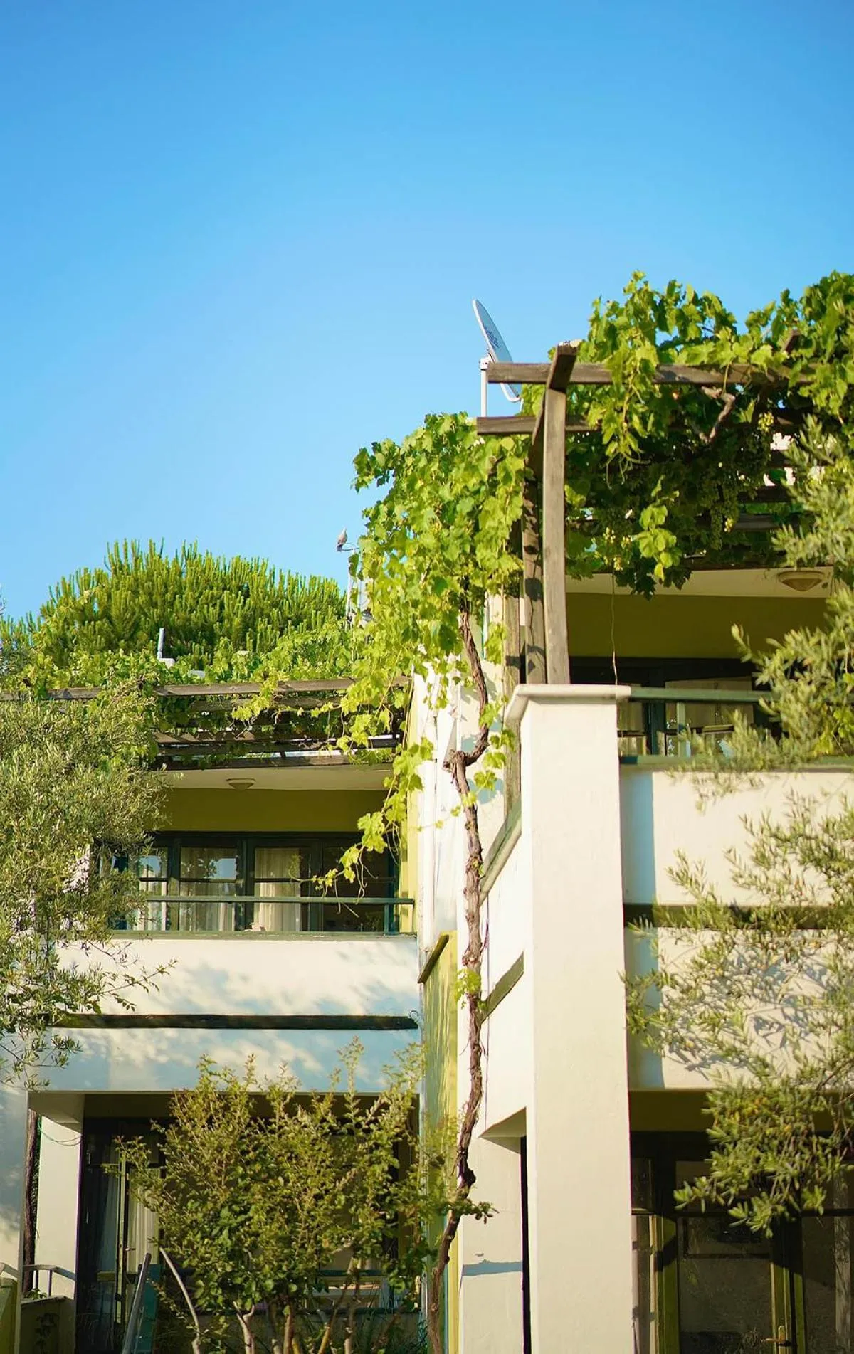 Club Afrodit Tatil Köyü