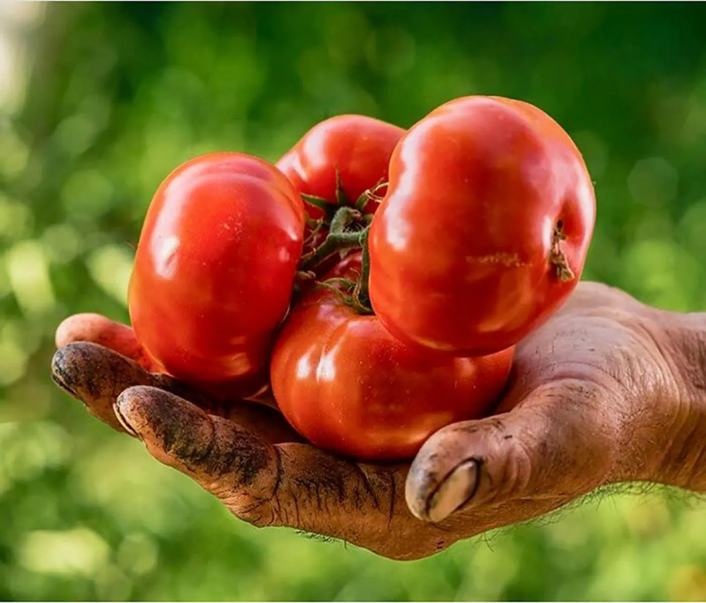 Club Afrodit Tatil Köyü