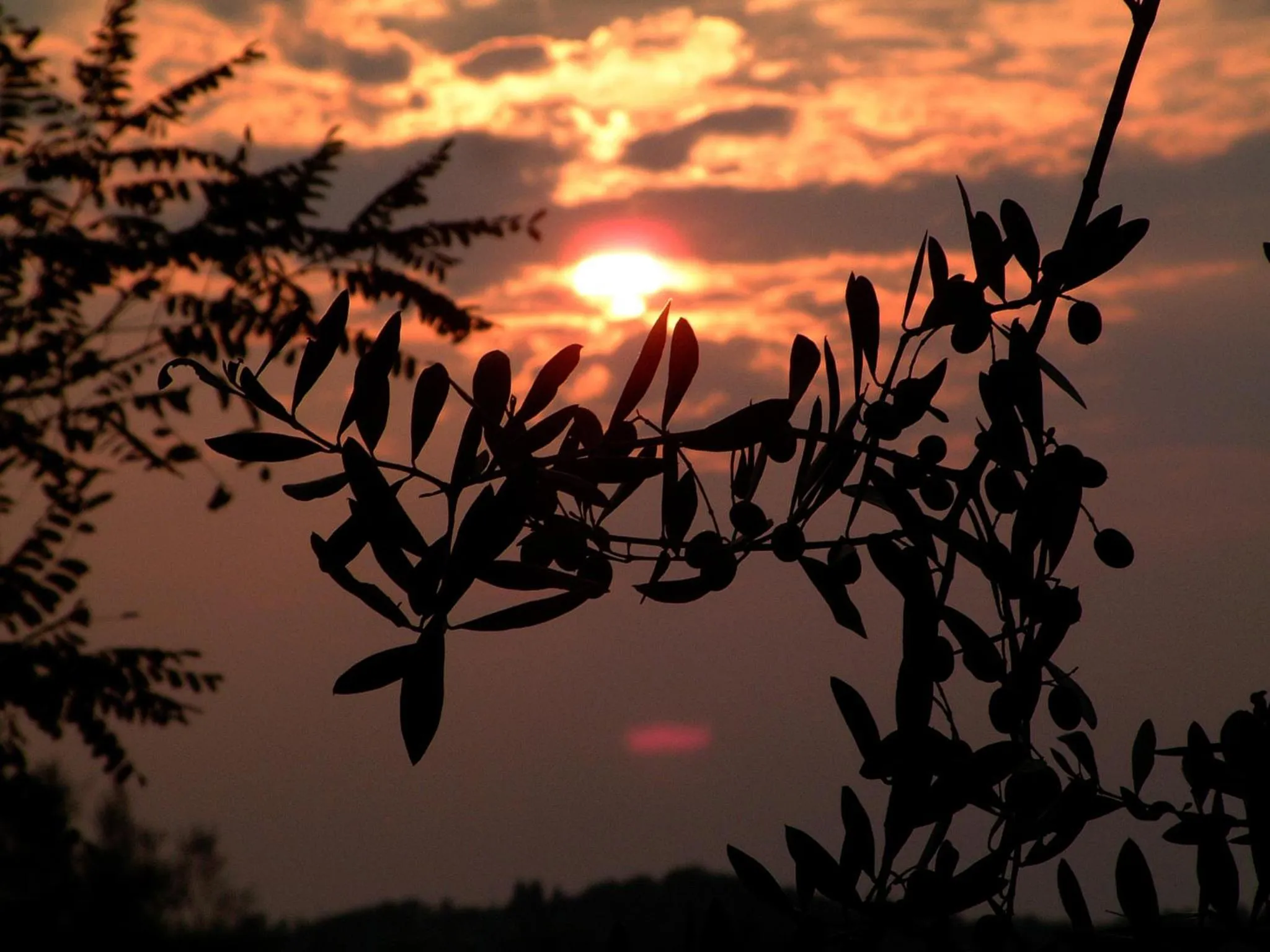 Other in Club Afrodit Tatil Köyü