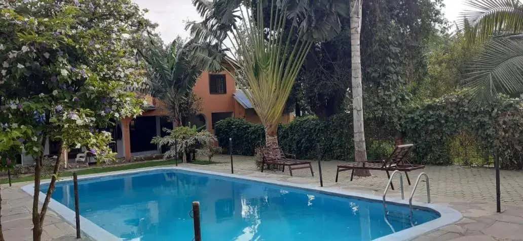 Swimming pool in Runako lodge Swimming pool in Runako lodge