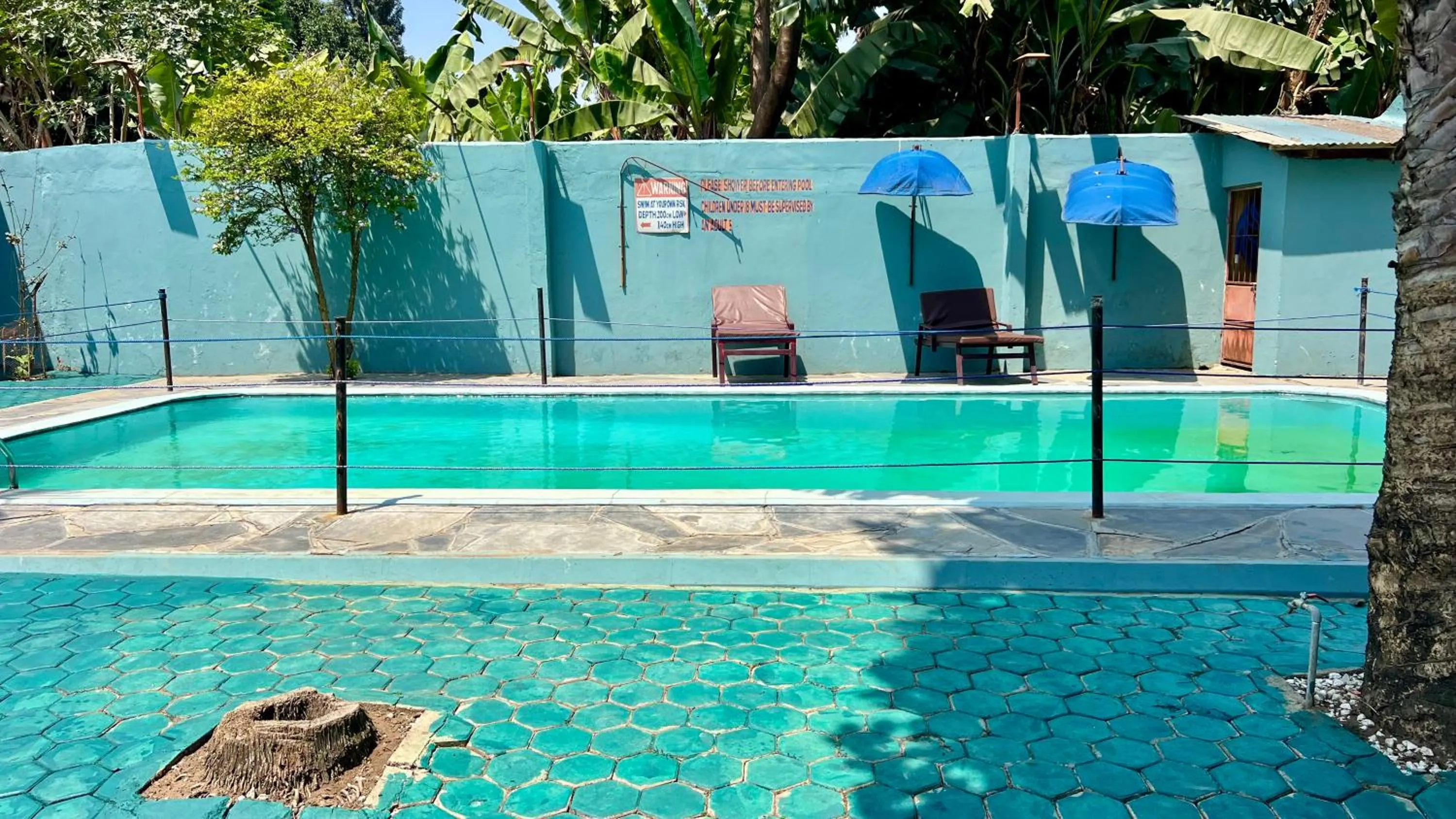 Pool view in Runako Hostel