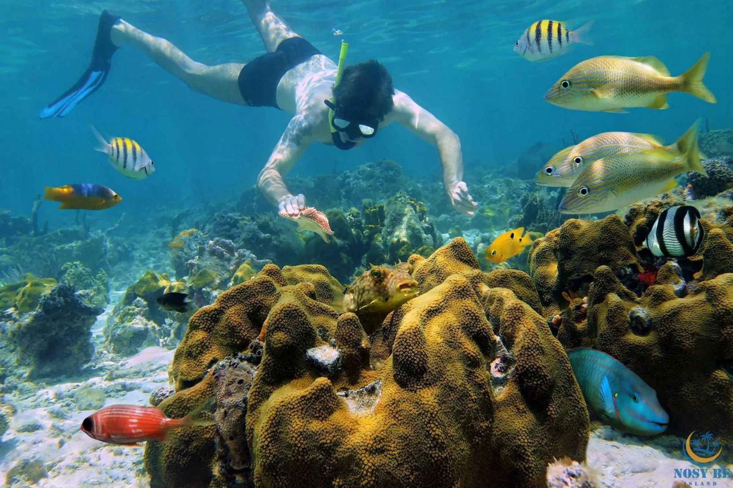 Snorkeling in Ylang hôtel