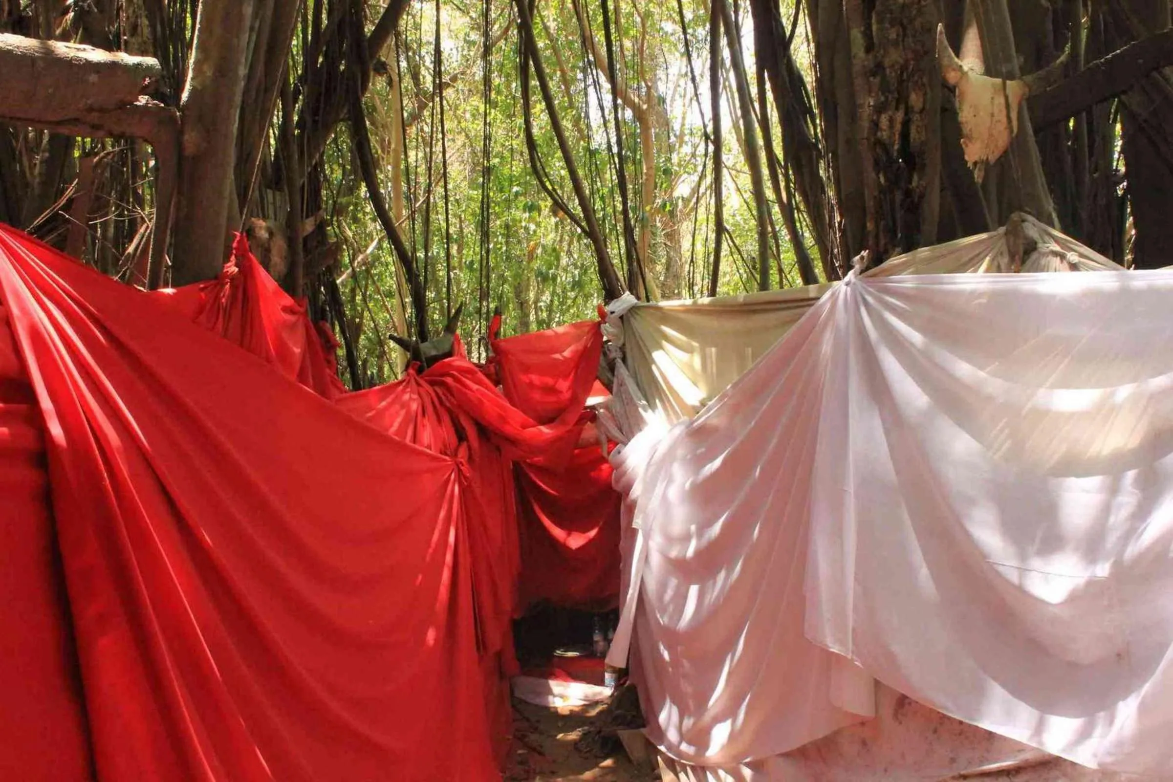 Activities in Ylang hôtel