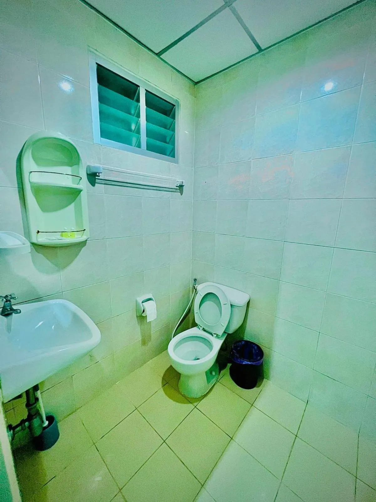 Toilet in BLUE PEARL SHORE