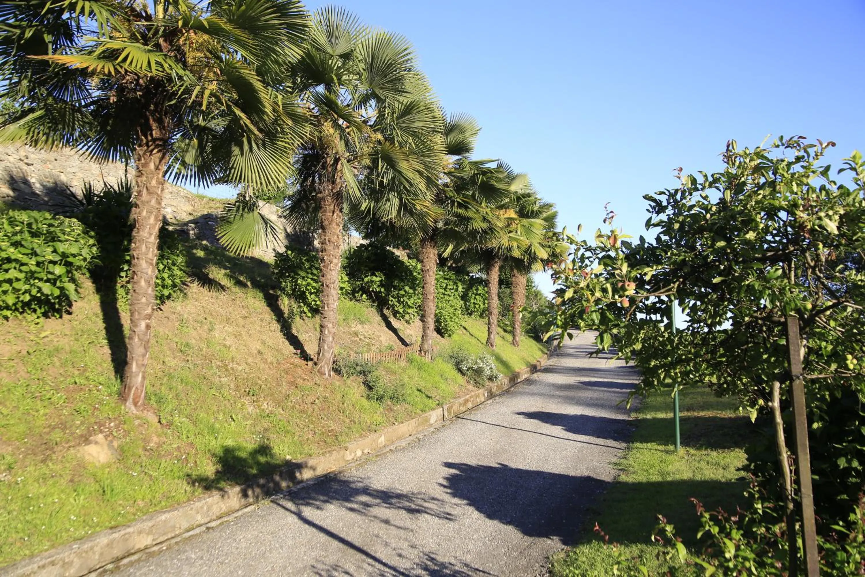 Street view in B&B La Quiete