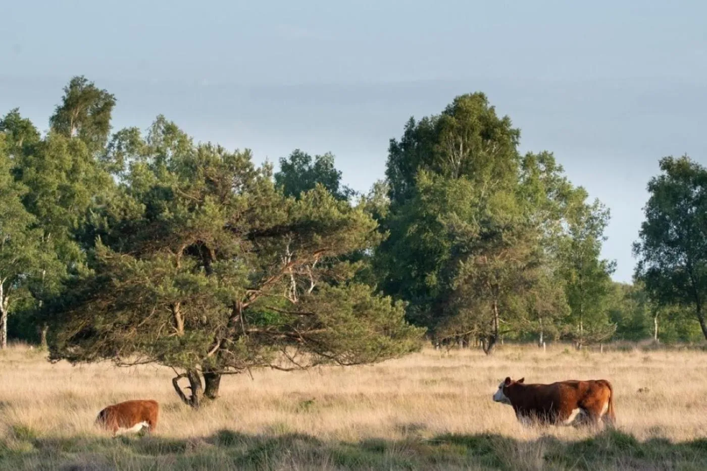Nearby landmark in Van der Valk Hotel Hengelo