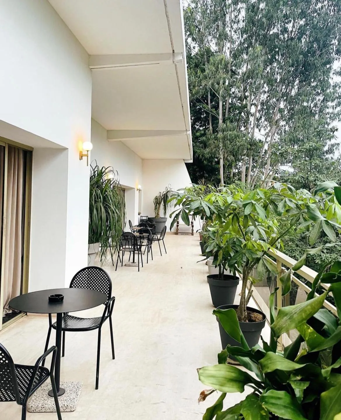 Patio in Hotel Lepic