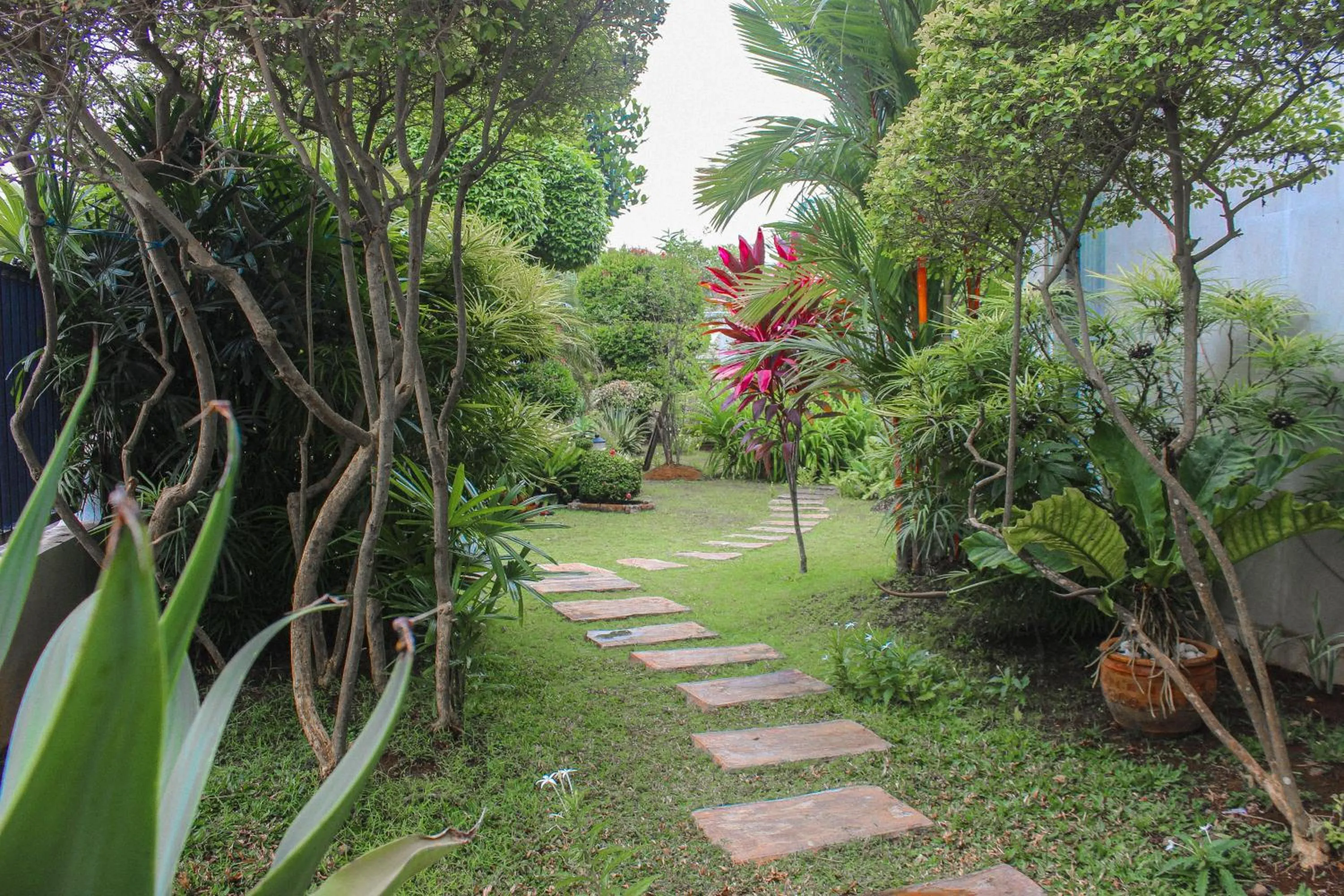 Garden in Omah Ulfah Homestay