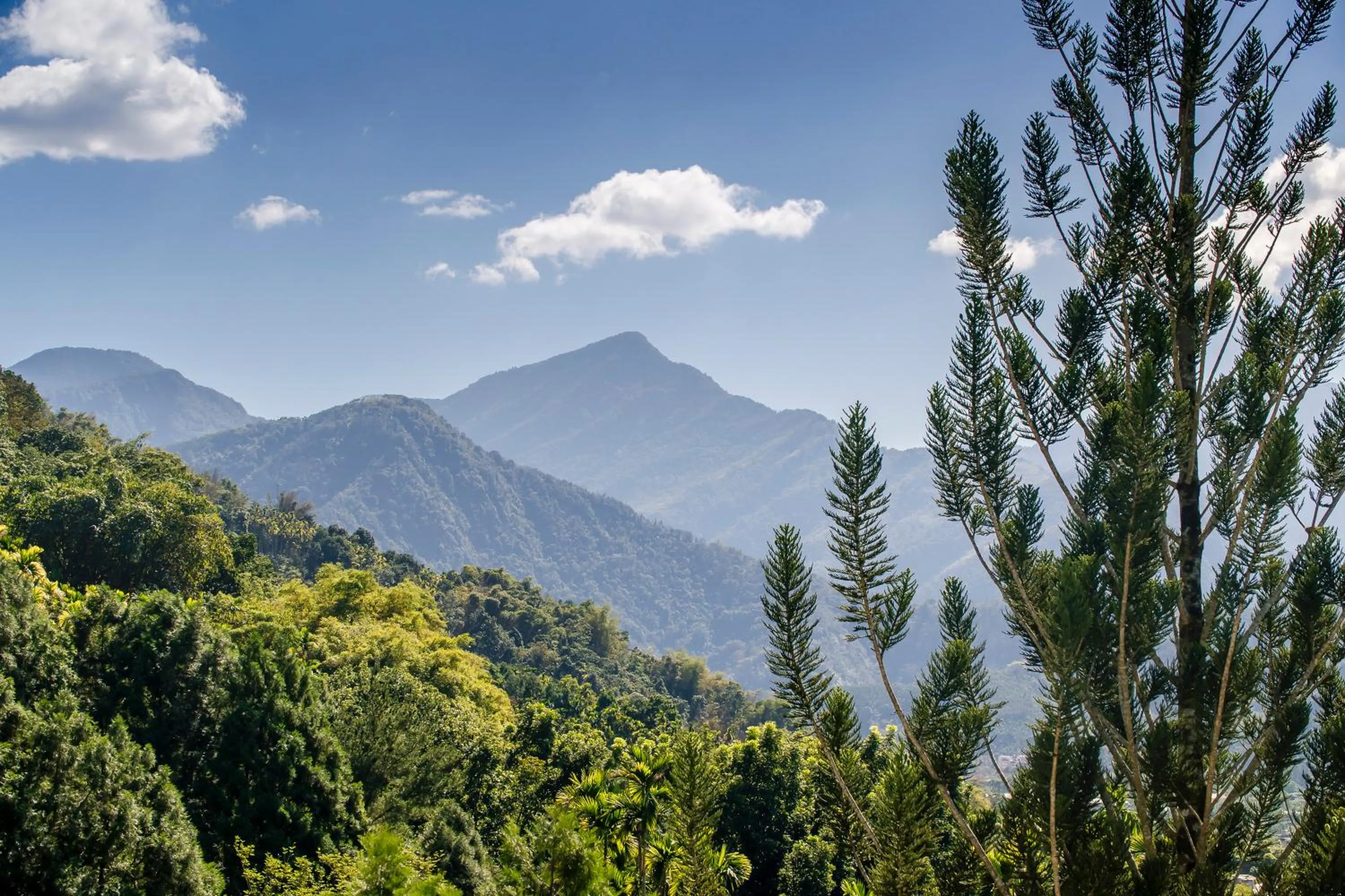 Natural landscape in Hills Velleys