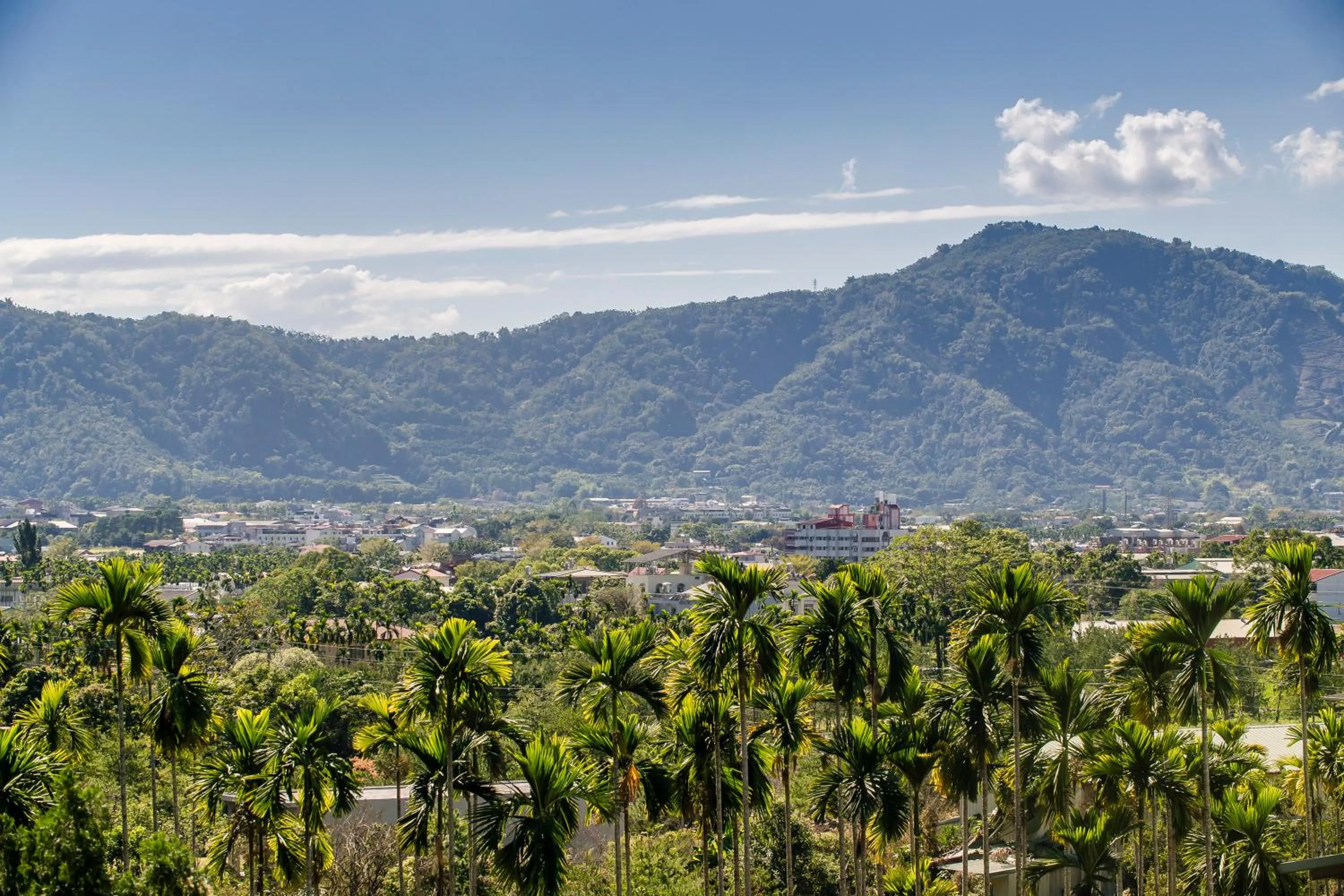 Natural landscape in Hills Velleys