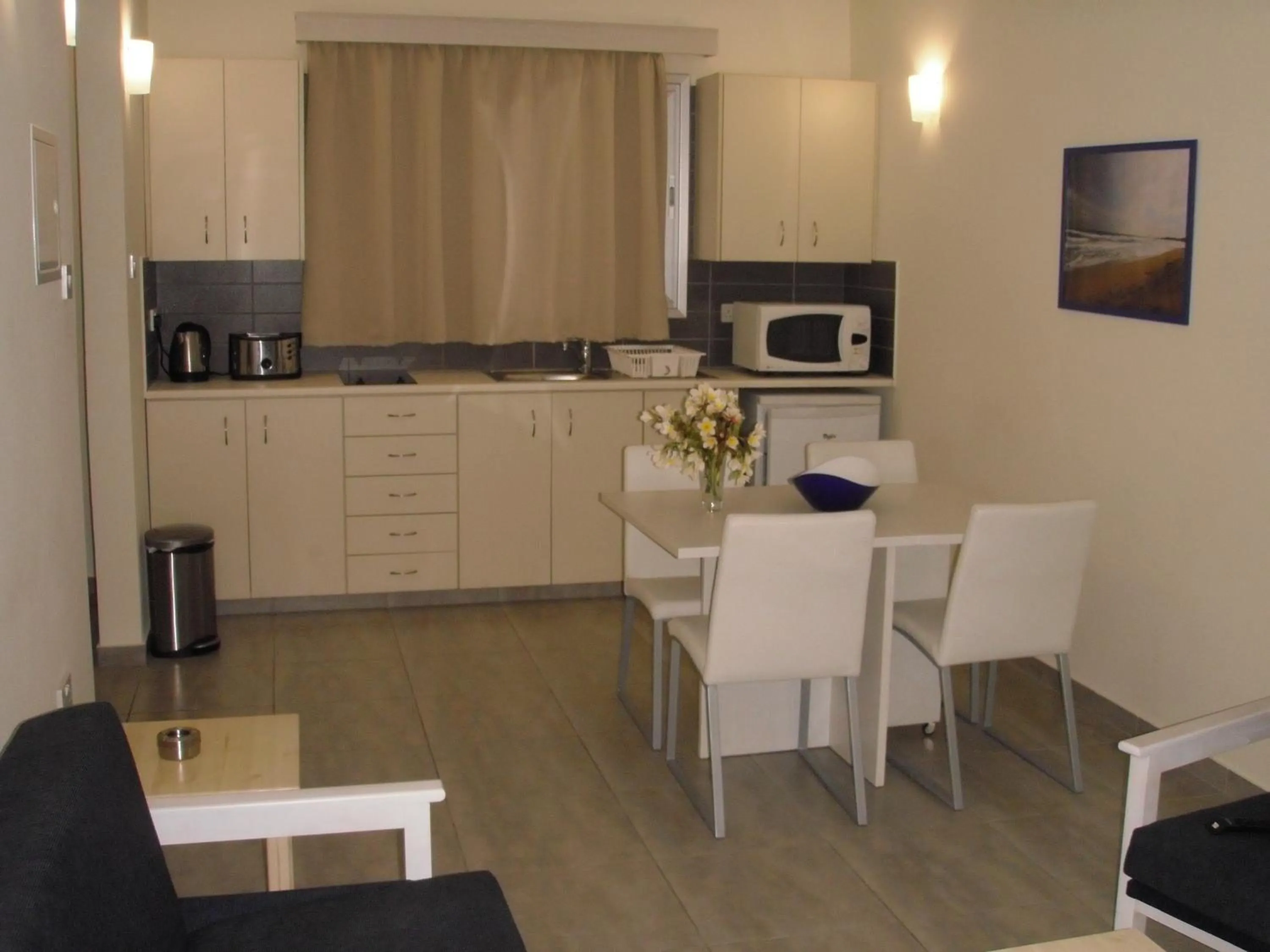 Kitchen or kitchenette in Eligonia Hotel Apartments