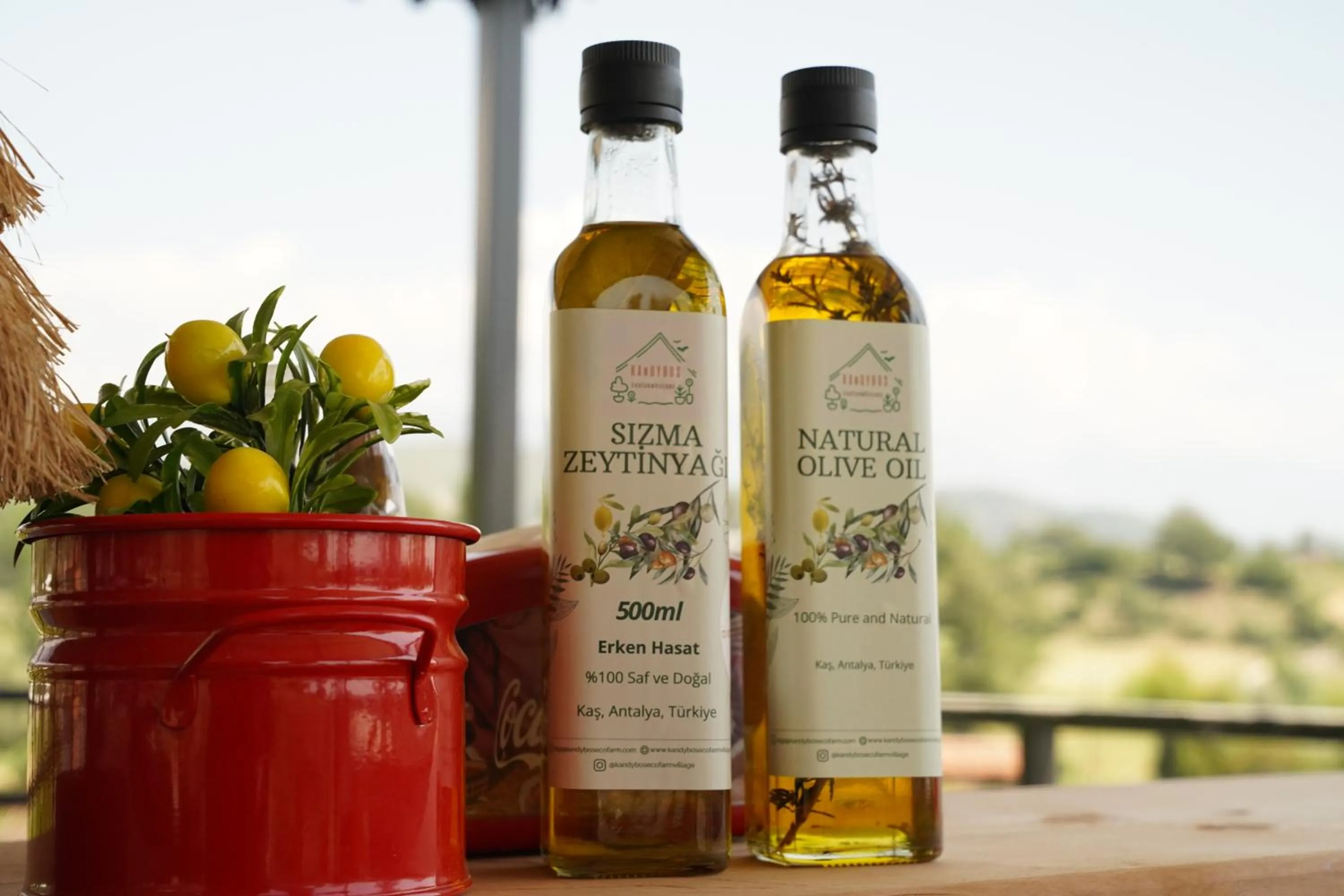 Kandybos Eco Farm Village