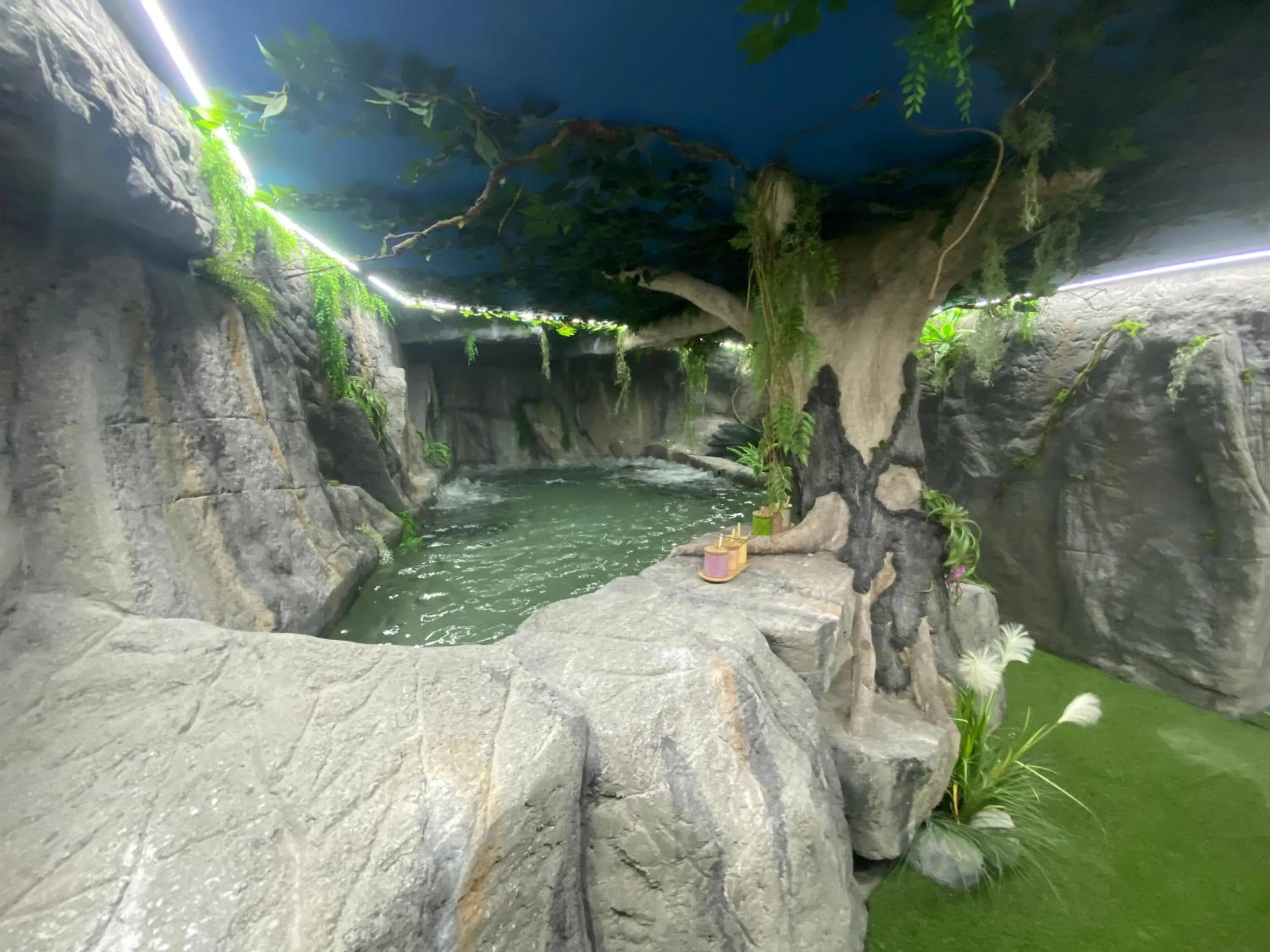 Spa and wellness centre/facilities in Futurotel Spa Garden