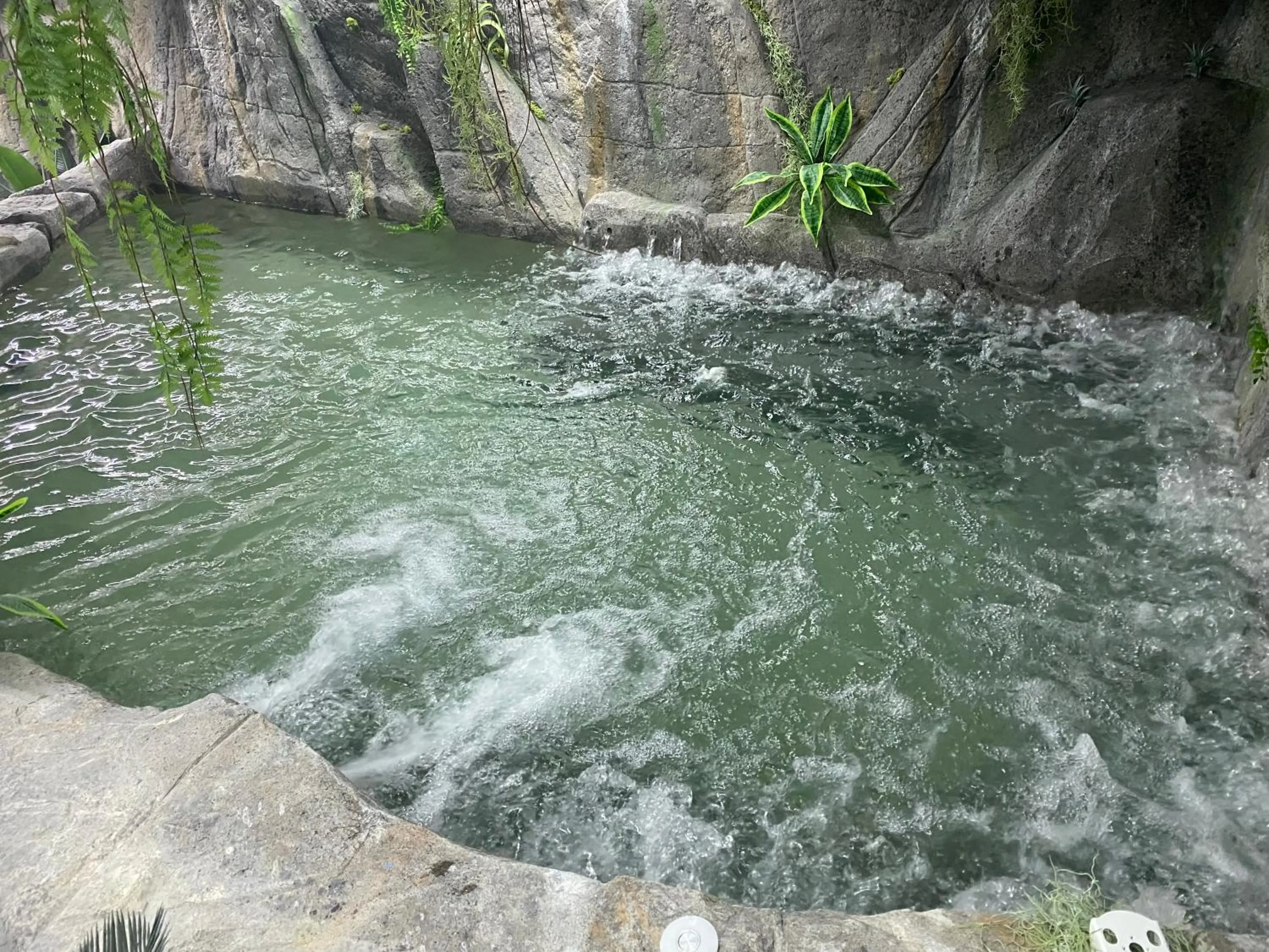 Spa and wellness centre/facilities in Futurotel Spa Garden