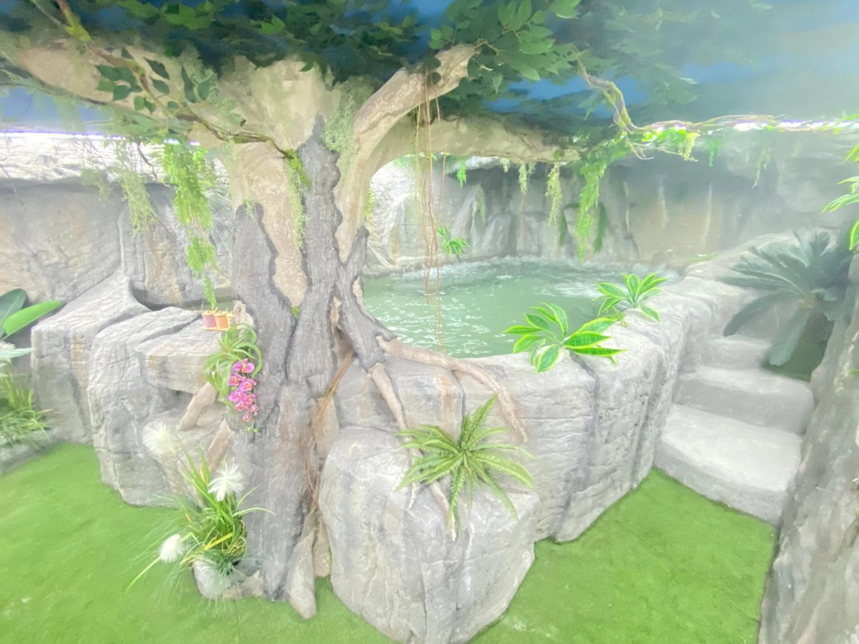 Spa and wellness centre/facilities in Futurotel Spa Garden