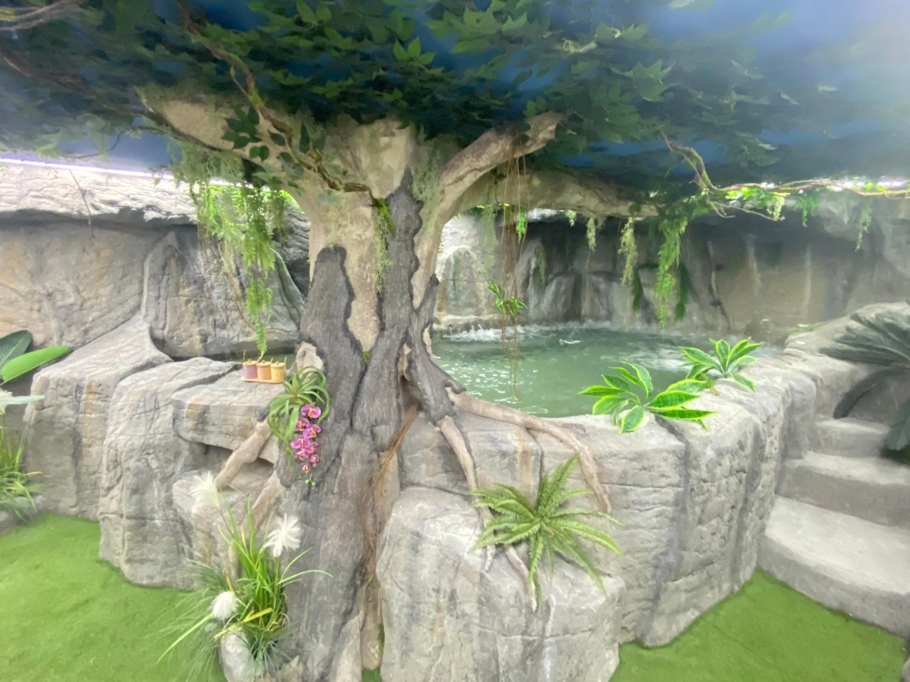 Spa and wellness centre/facilities in Futurotel Spa Garden