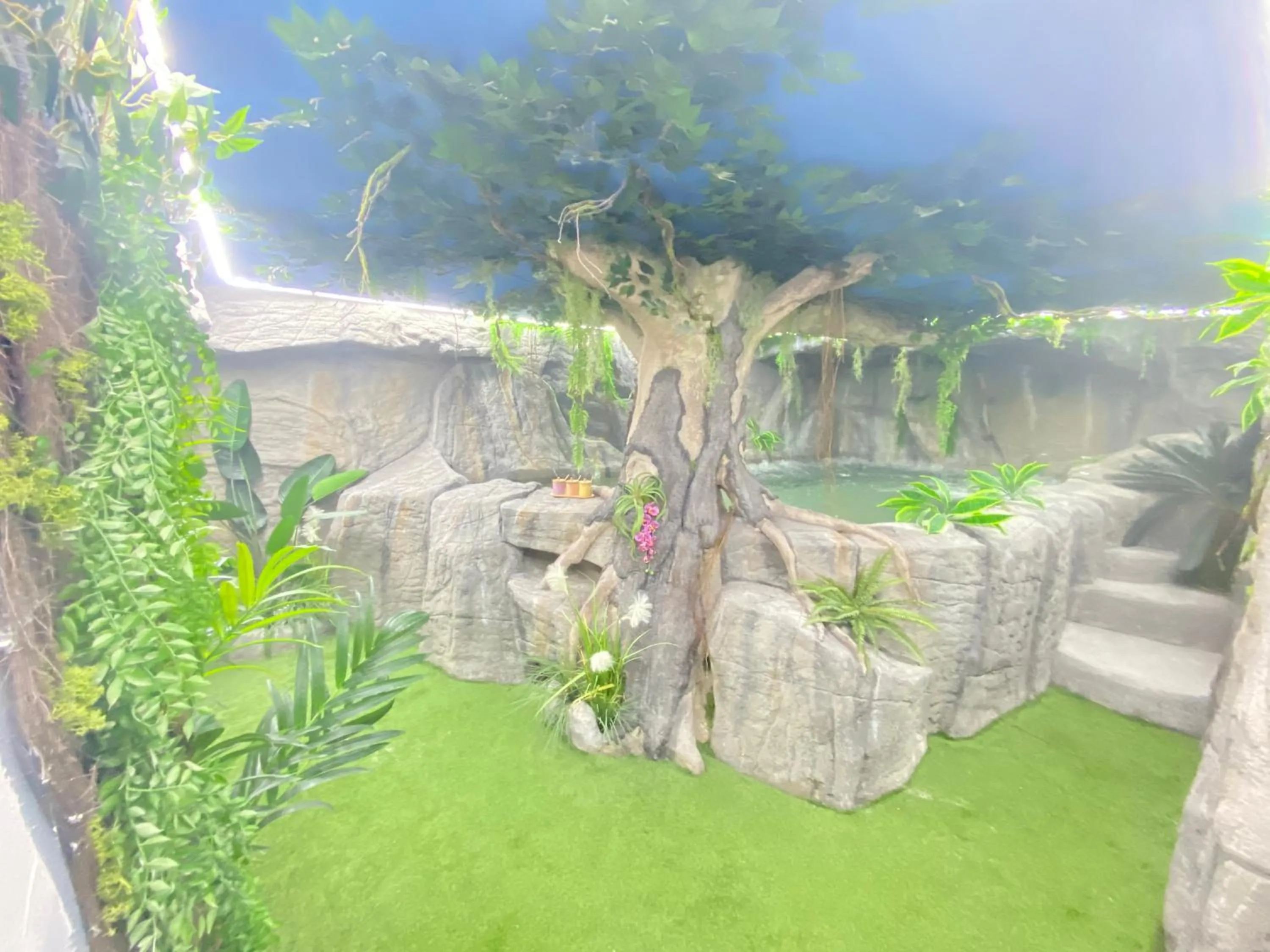 Spa and wellness centre/facilities in Futurotel Spa Garden