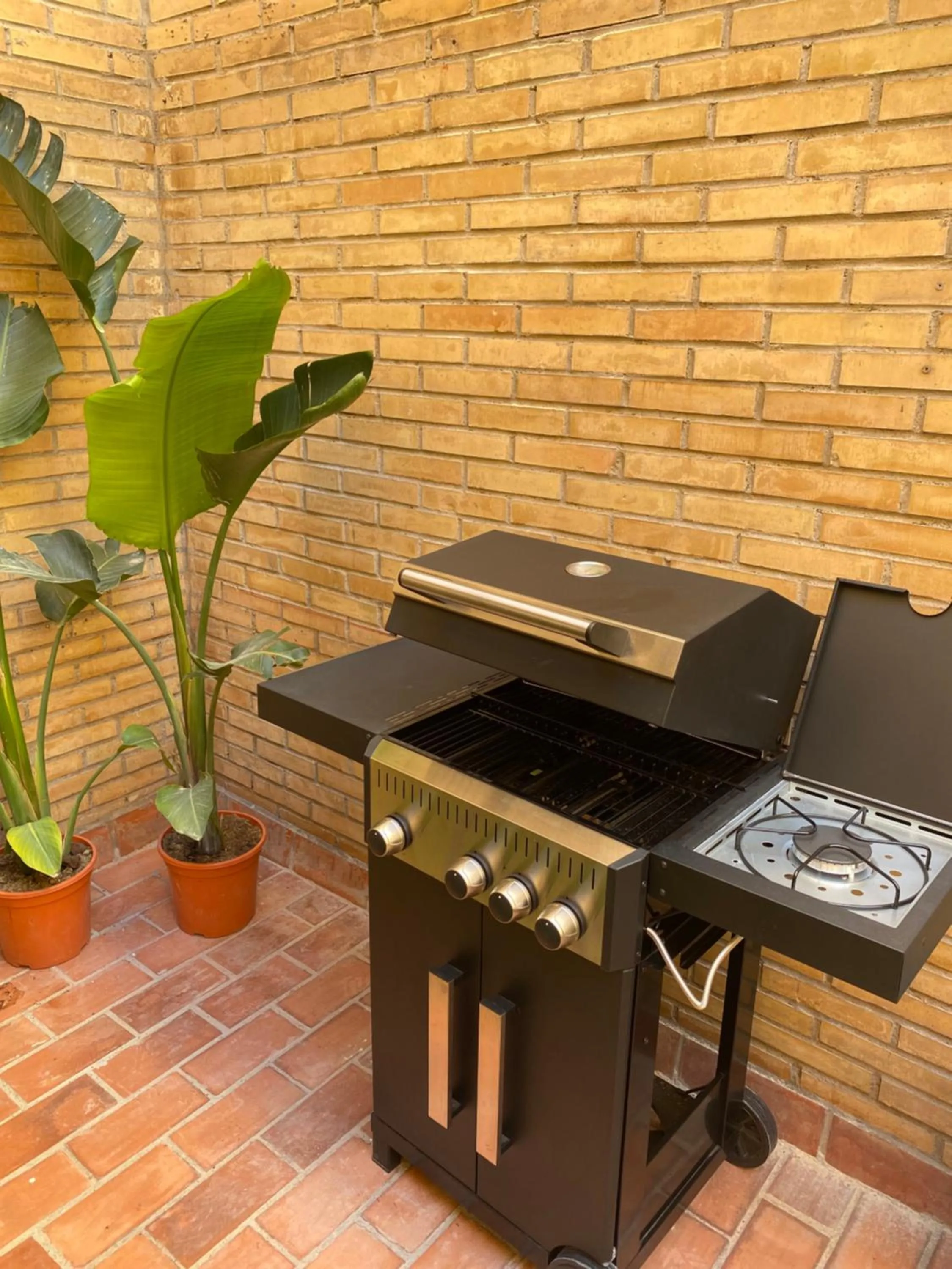 BBQ facilities in Futurotel Spa Garden