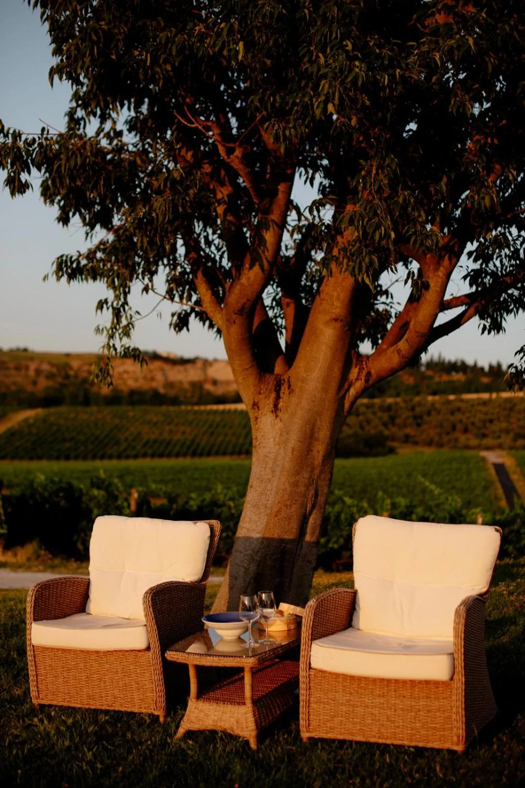 Restaurant/places to eat in Borgo Conde Wine Resort