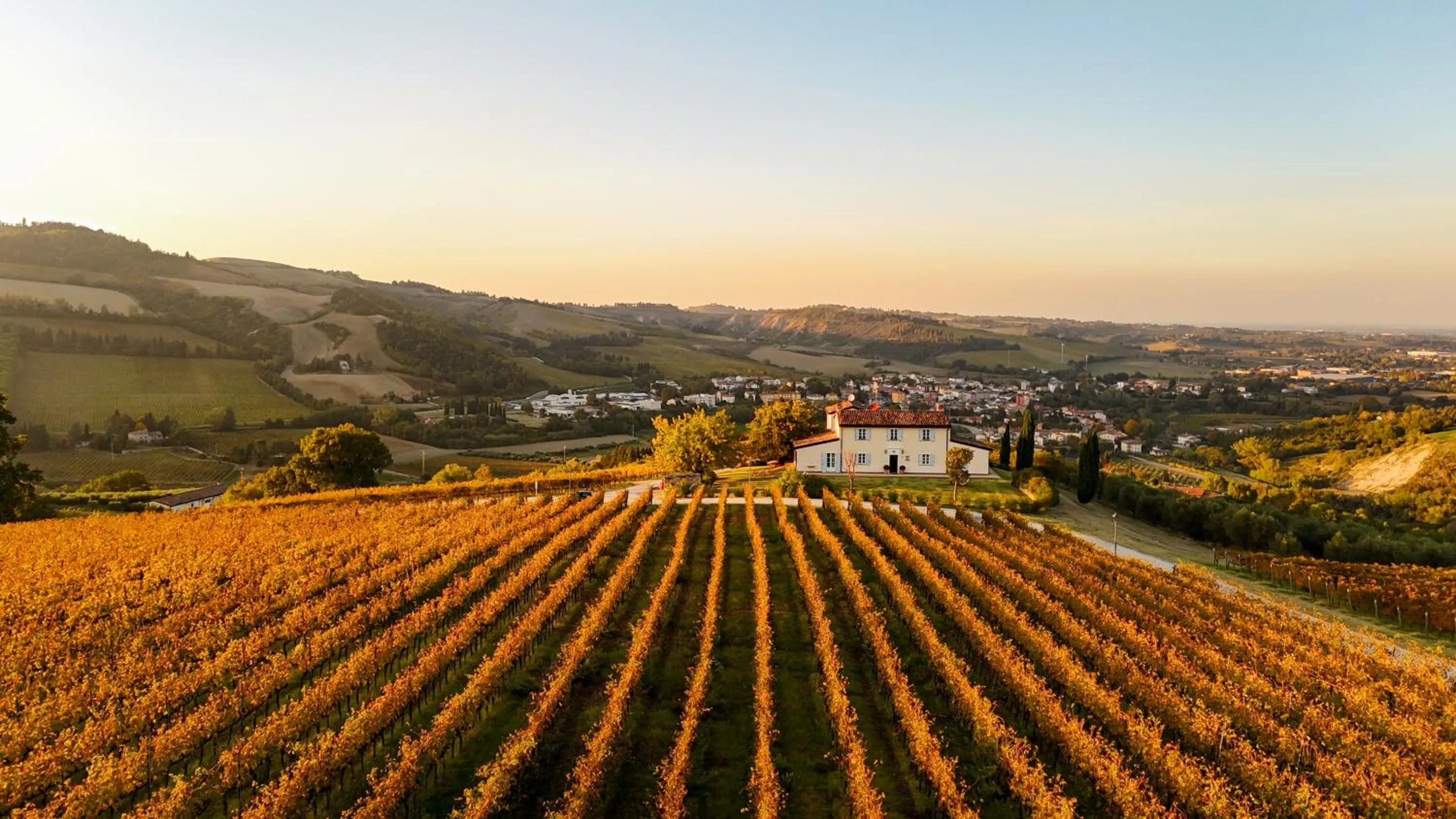 View (from property/room) in Borgo Conde Wine Resort