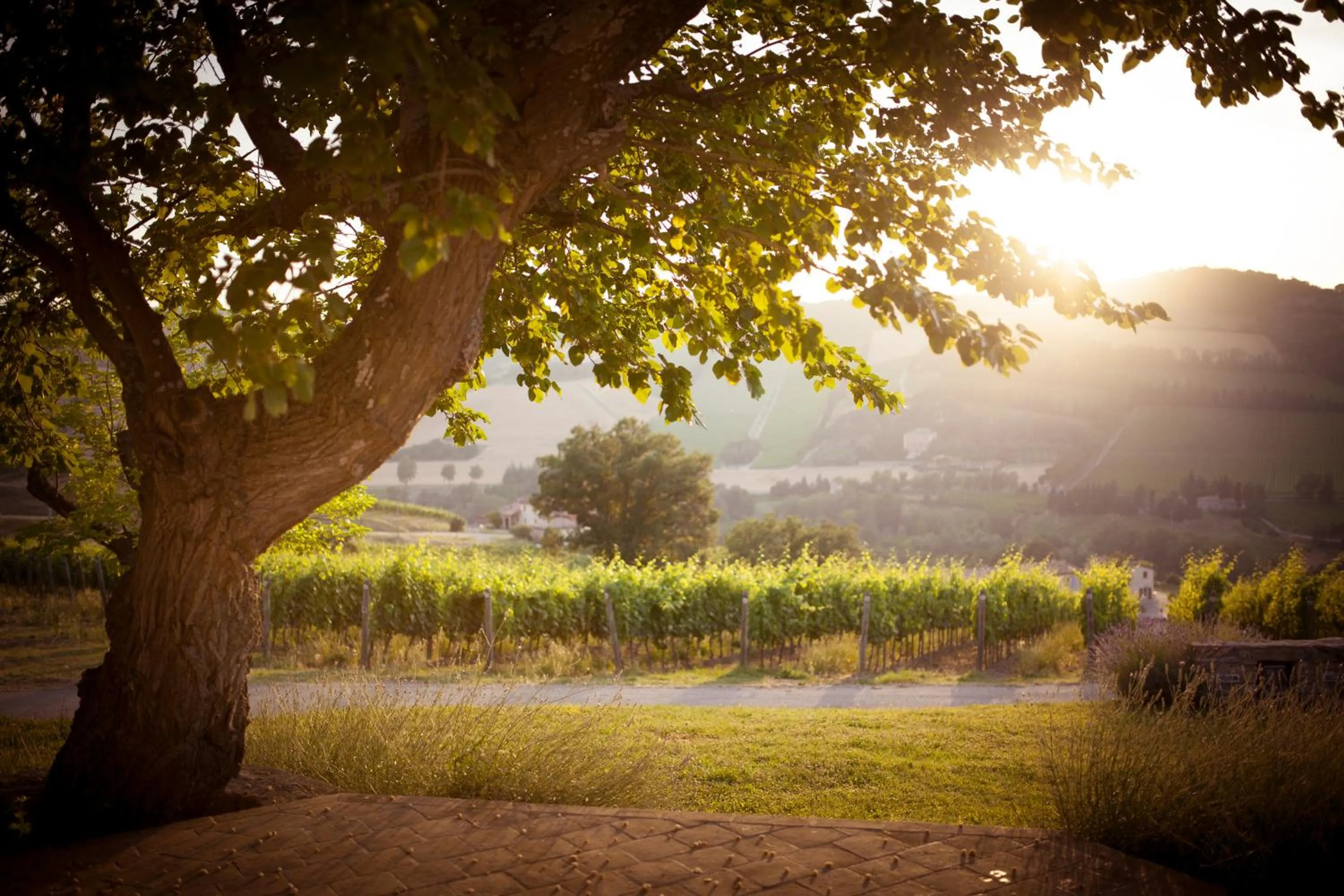 Nearby landmark in Borgo Conde Wine Resort