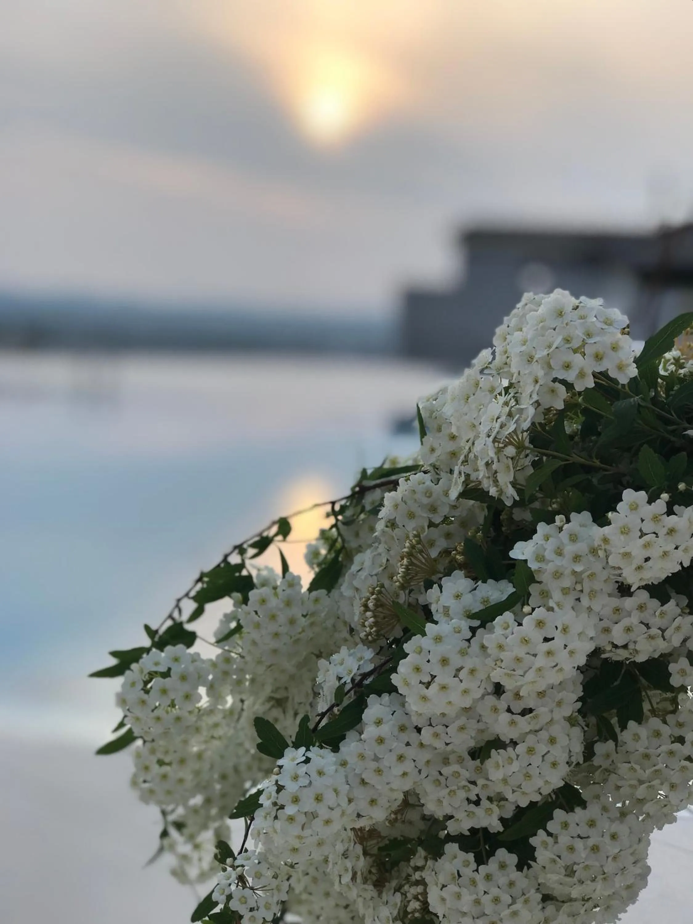 Natural landscape in Chateau Linza Resort