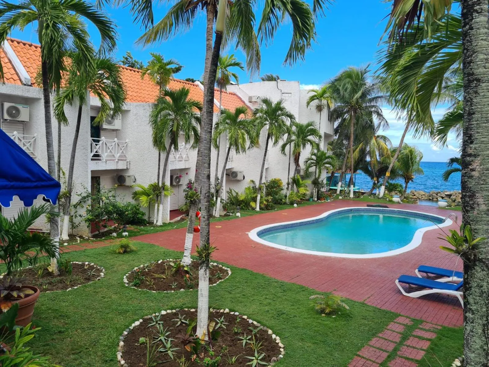 Garden in Chrisanns Paradise Suite by the Ocean - Apt#9