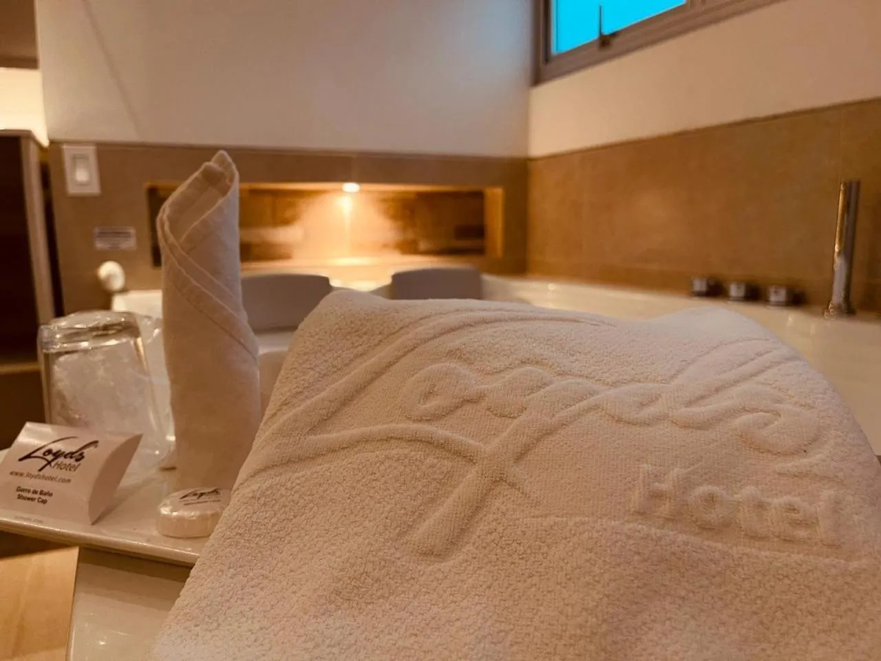 Toilet in Hotel Loyds