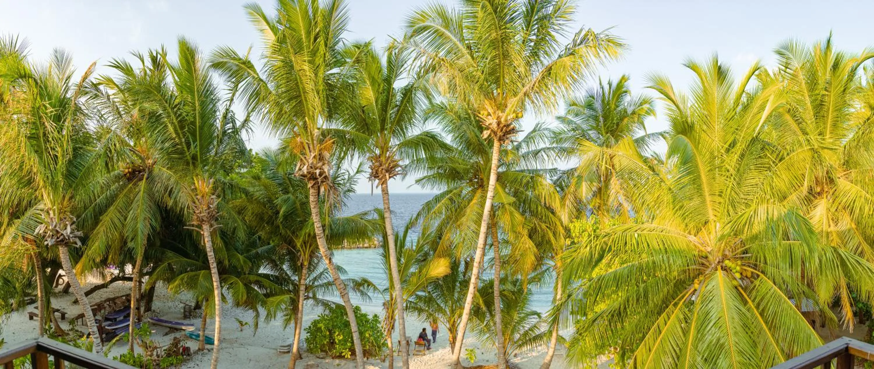 Garden in Chak’z 1964 Beach