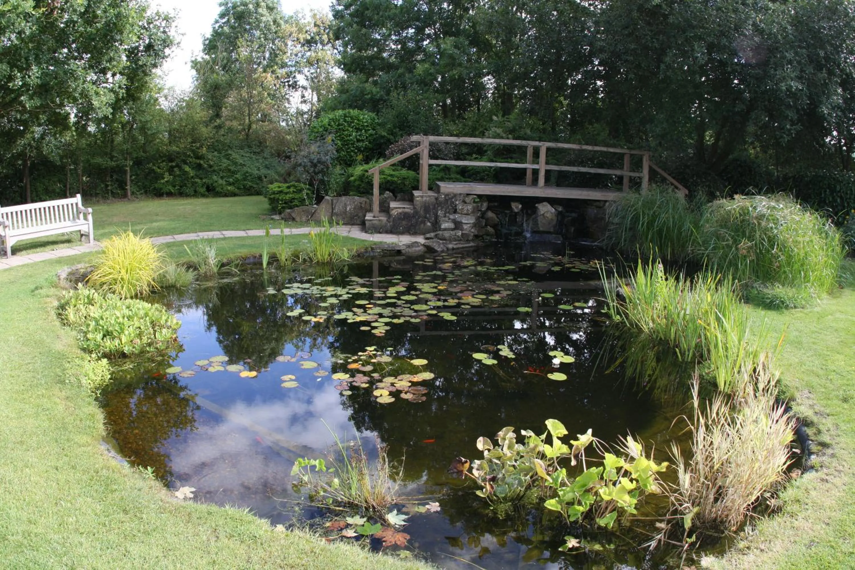 Garden in Stirrups Hotel