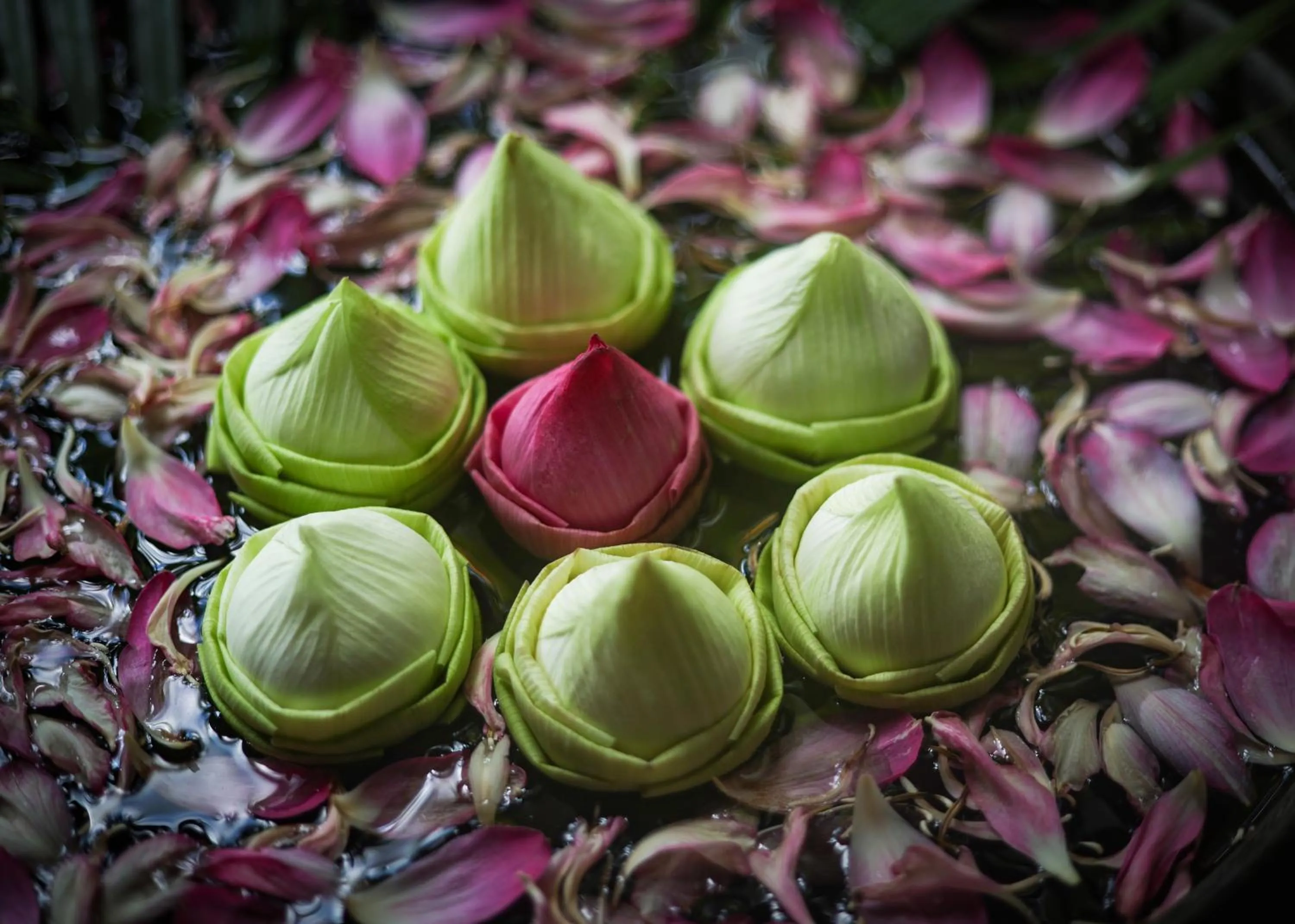 Lobby or reception in Lynnaya Urban River Resort