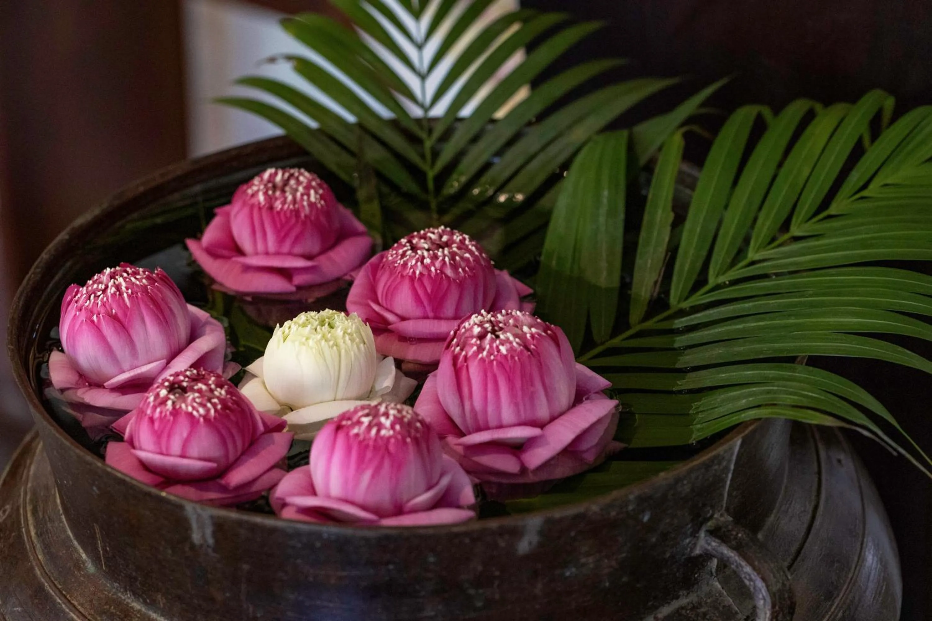 Lobby or reception in Lynnaya Urban River Resort