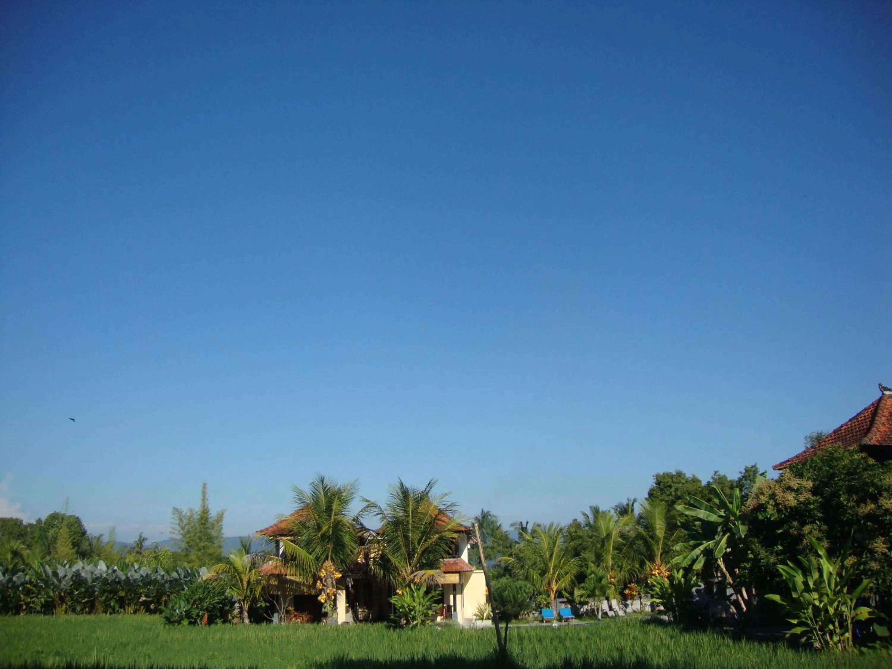 View (from property/room) in Atres Villa