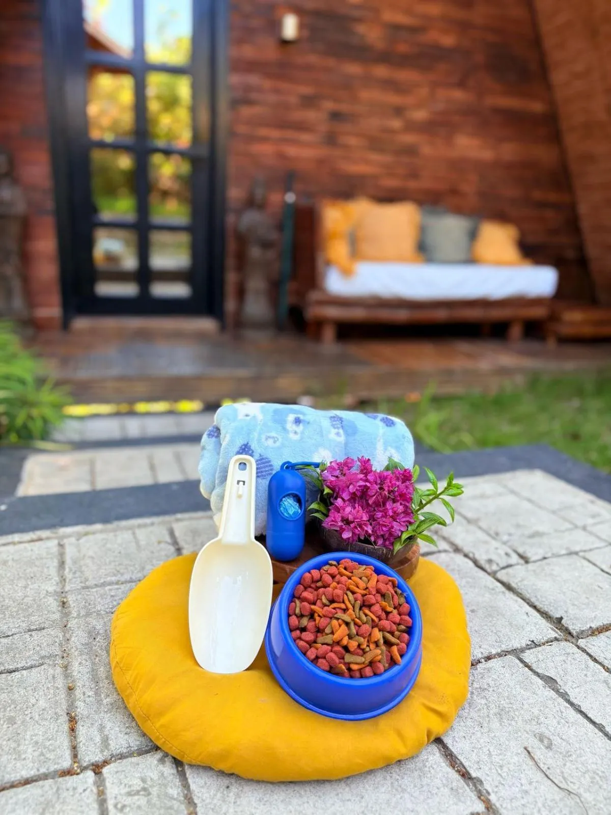 Pets in Nawa Wellness