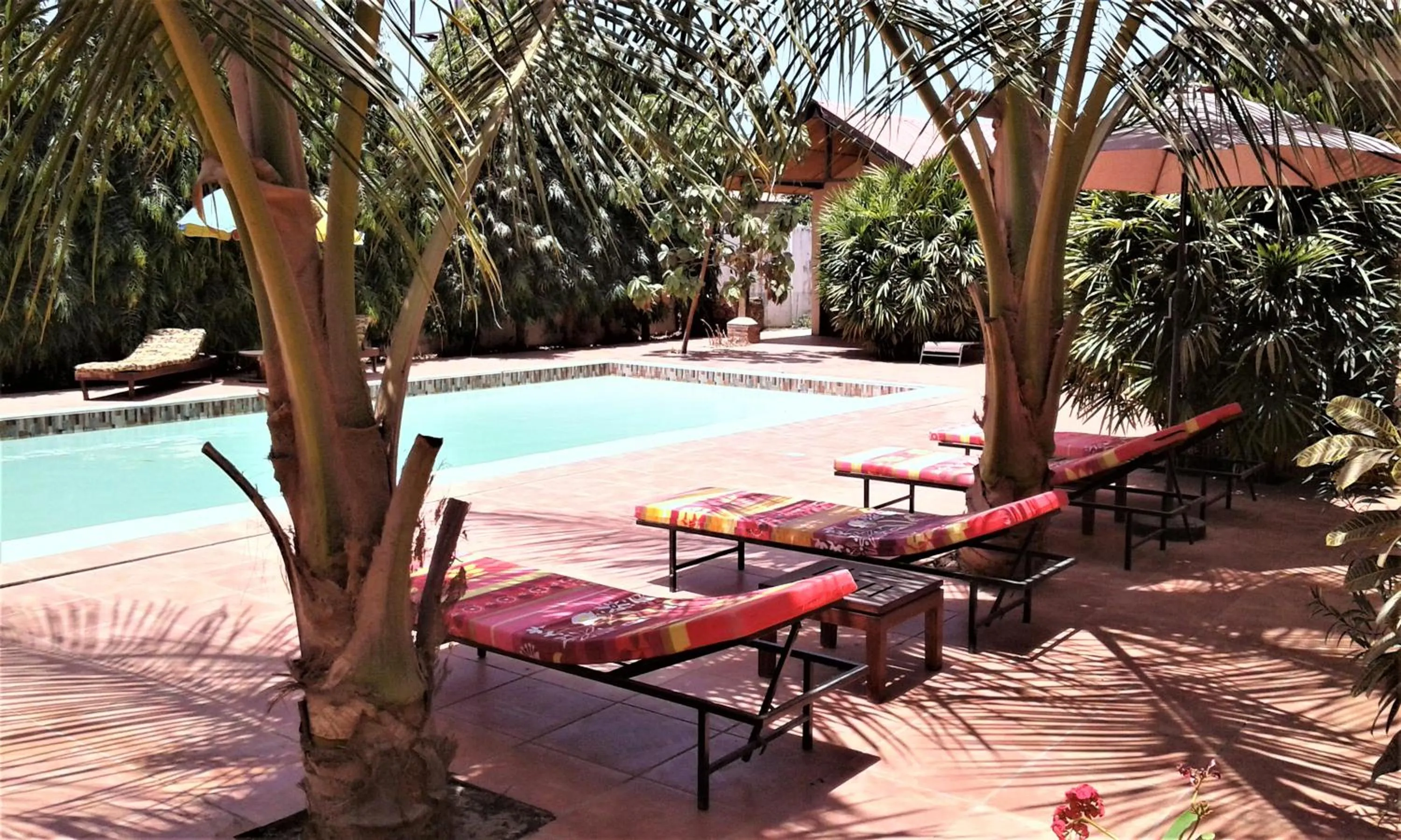 Garden in B & B Villa Calliandra