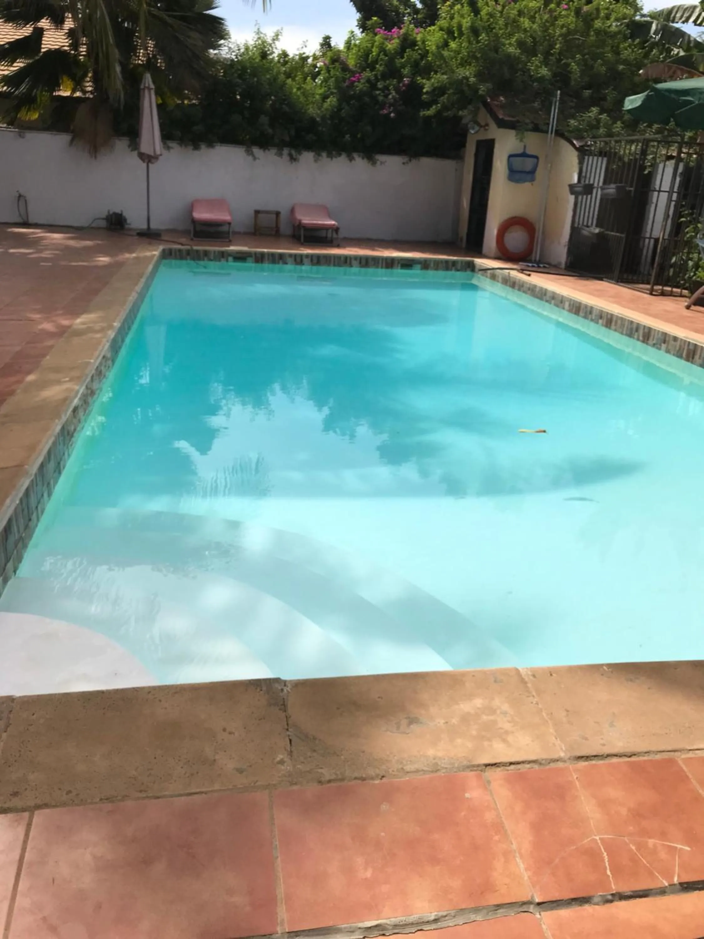 Swimming pool in B & B Villa Calliandra