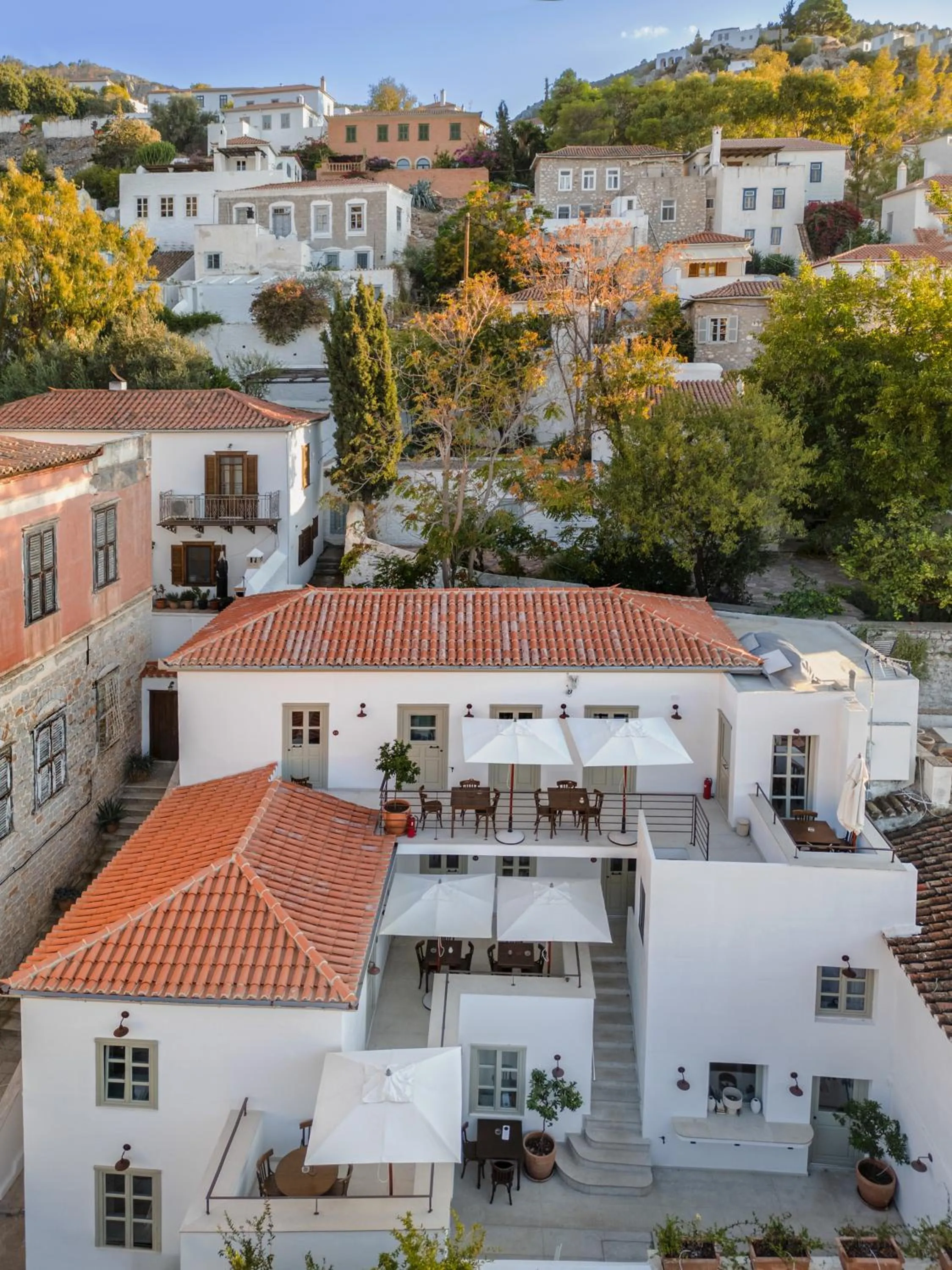 Property building in Maison Muse