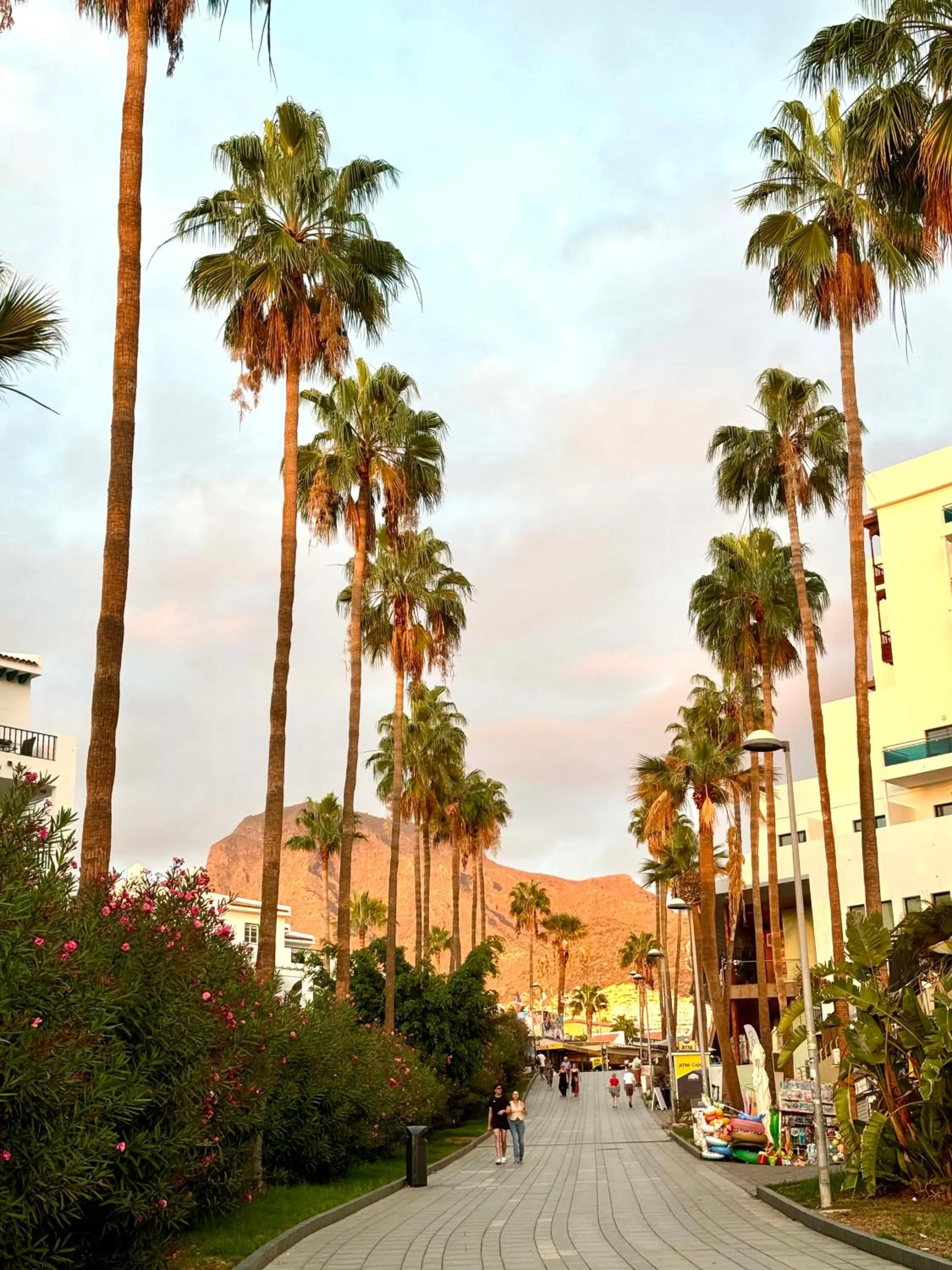 BuenaVista Torviscas Beach