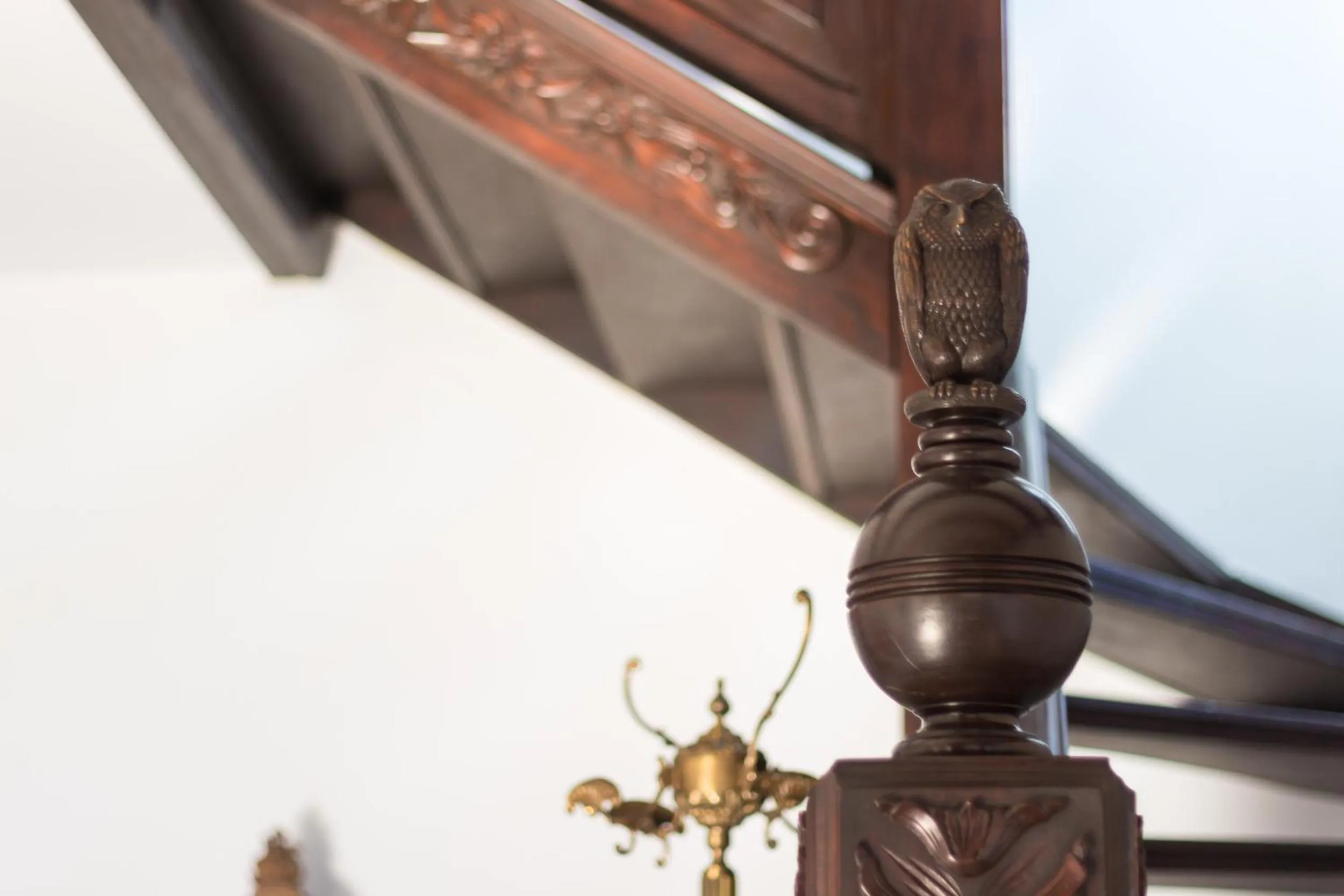 View (from property/room) in Magic Garden Hostel