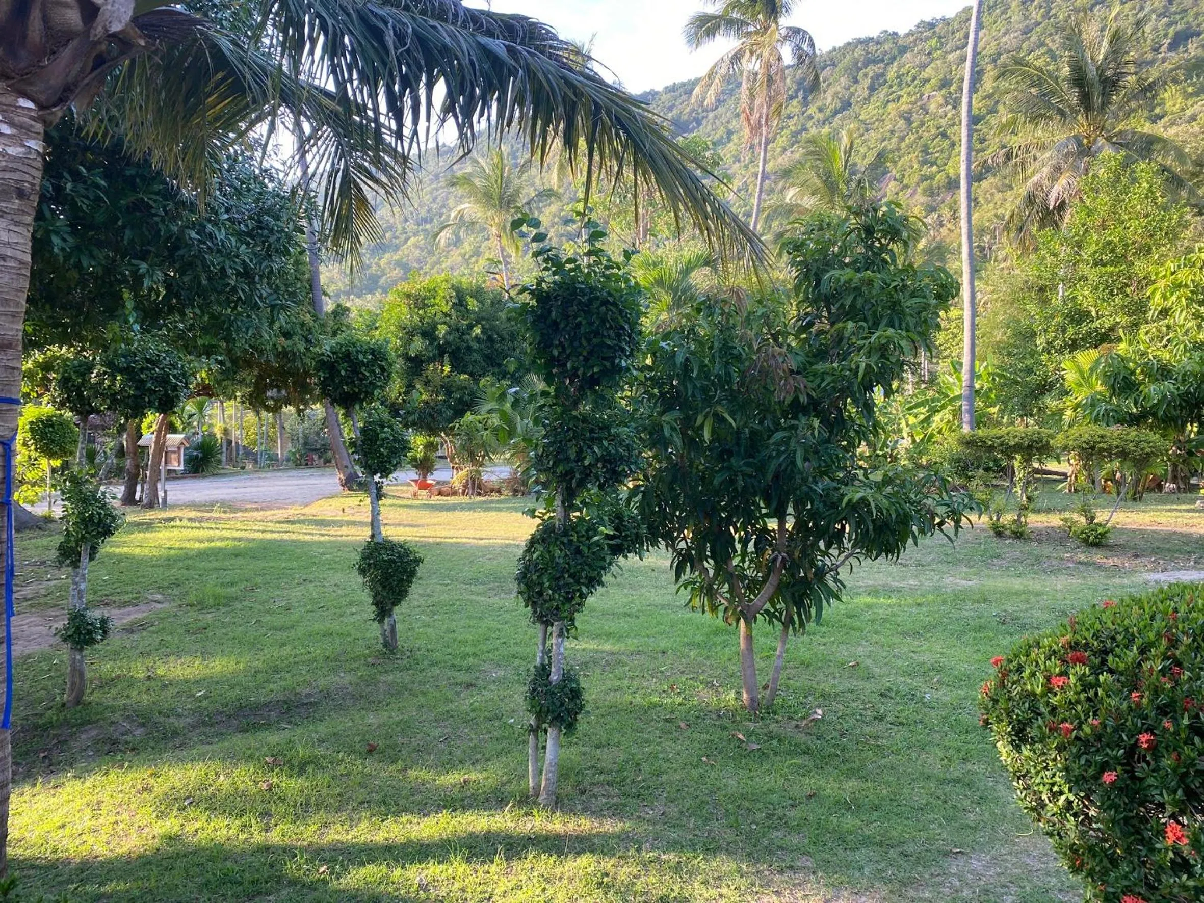 Rainbow Bungalow Haadrin Koh Phangan