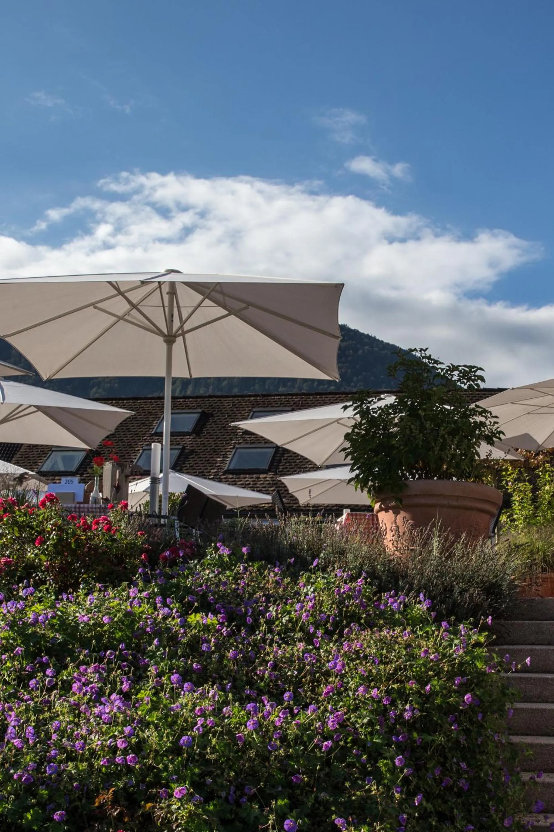 Restaurant/places to eat in Hotel Schäfli Siebnen