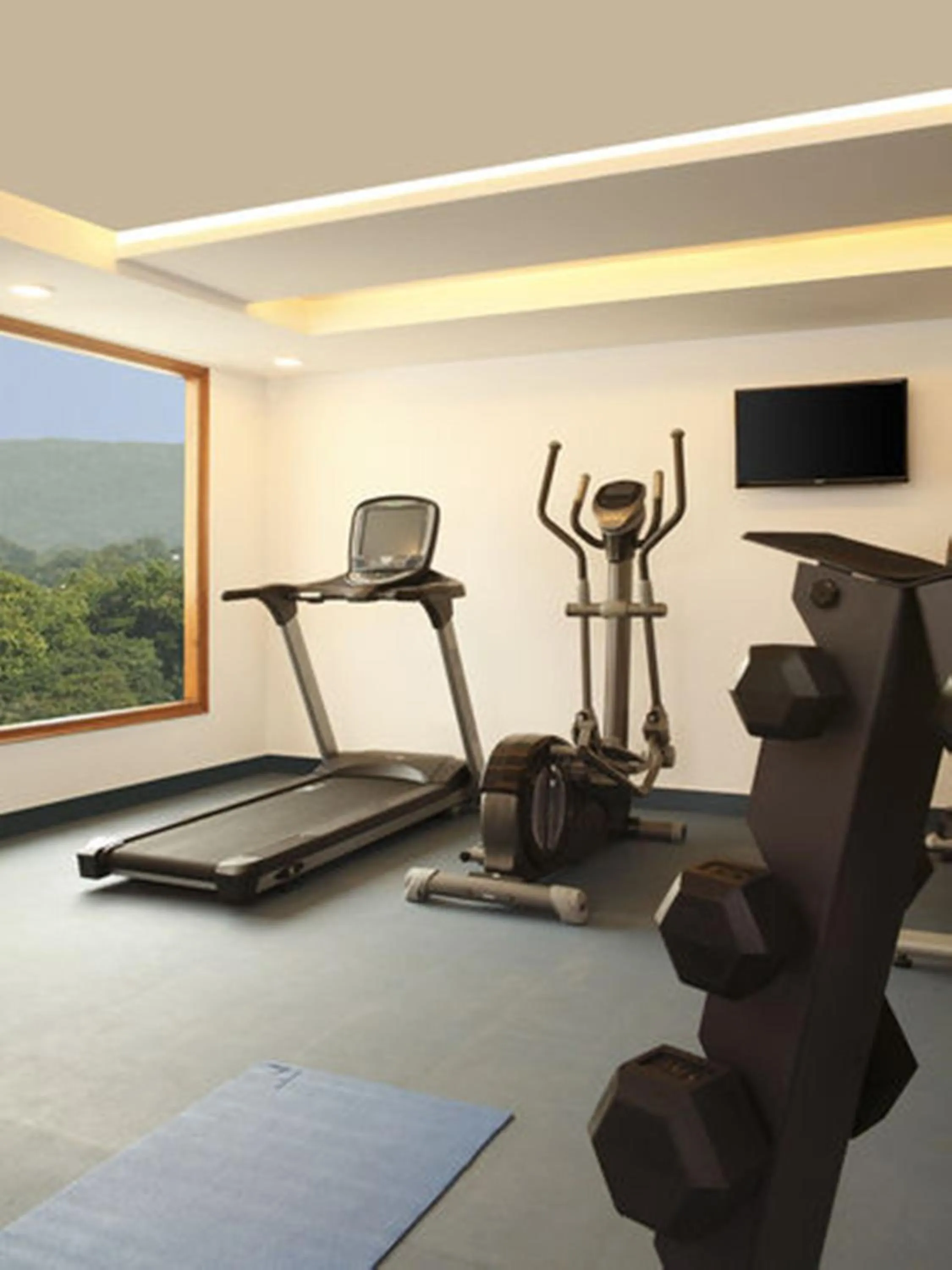 Fitness centre/facilities in Lemon Tree Hotel, Dehradun