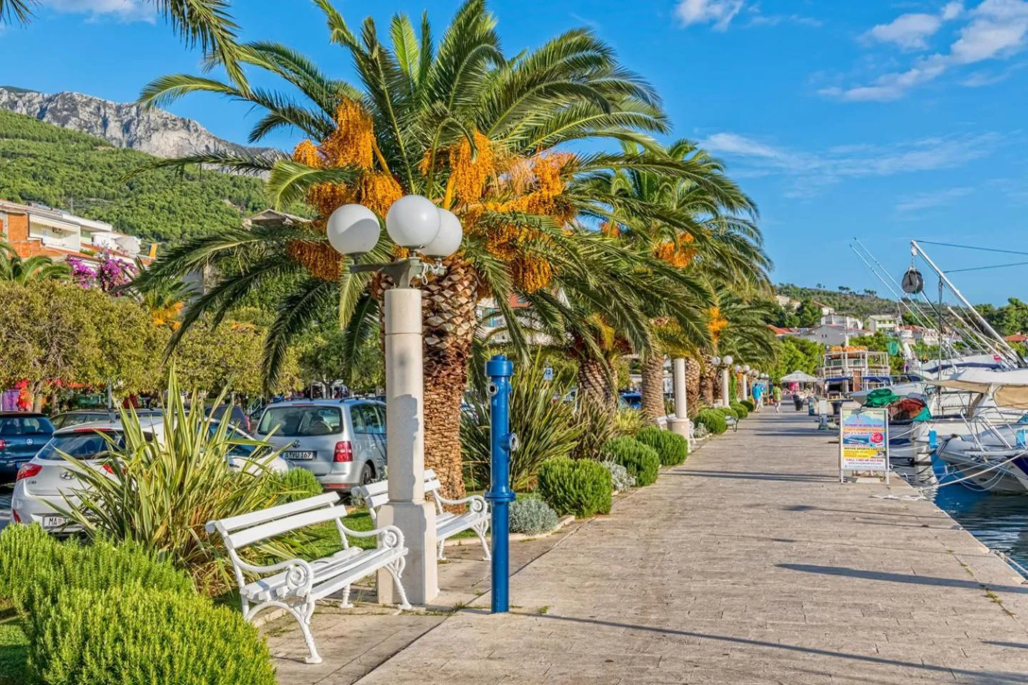 Other in Villa Bougenvilia Tomas